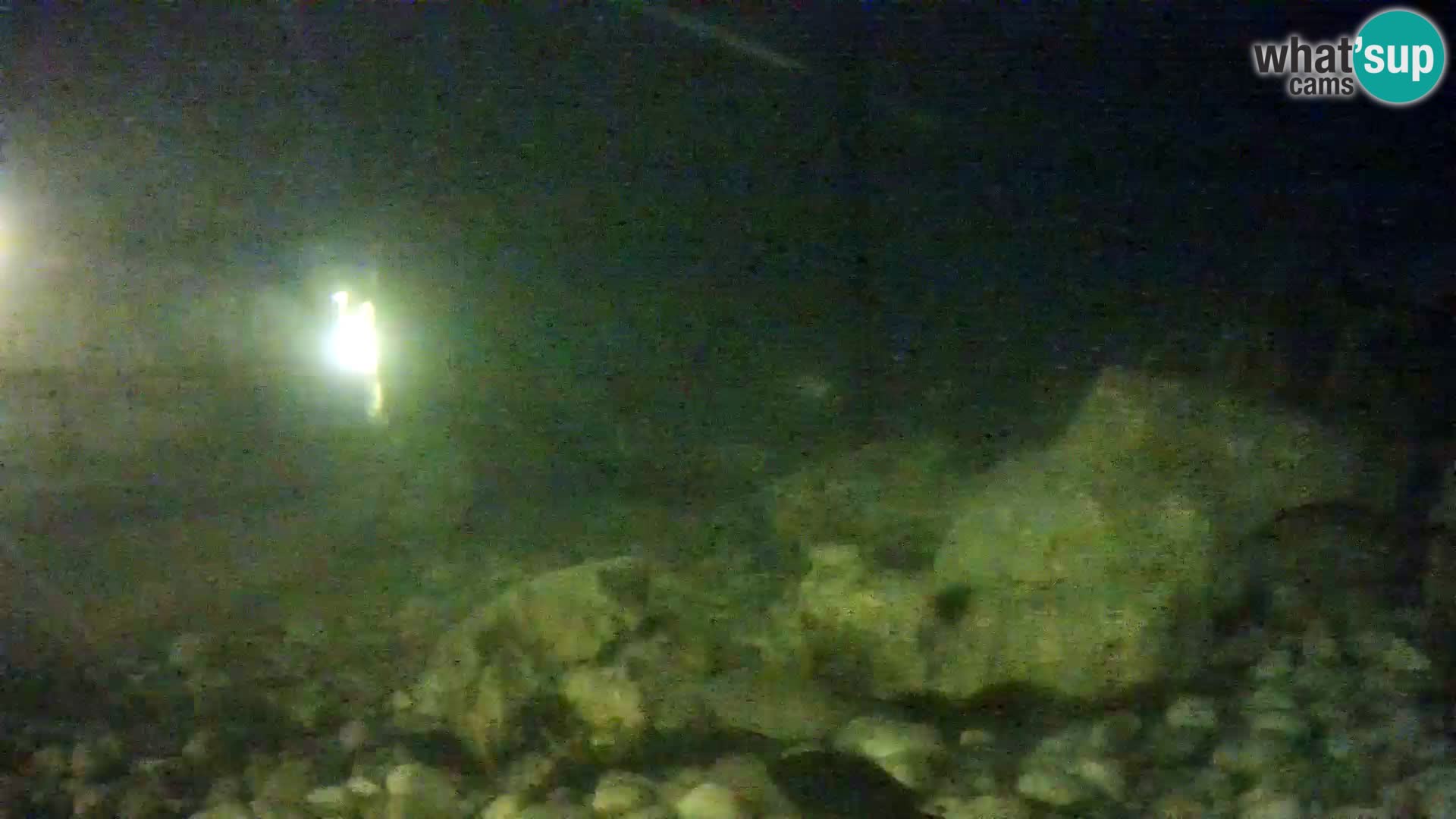 Aquario marino esterno –  Rogoznica livecam Croazia
