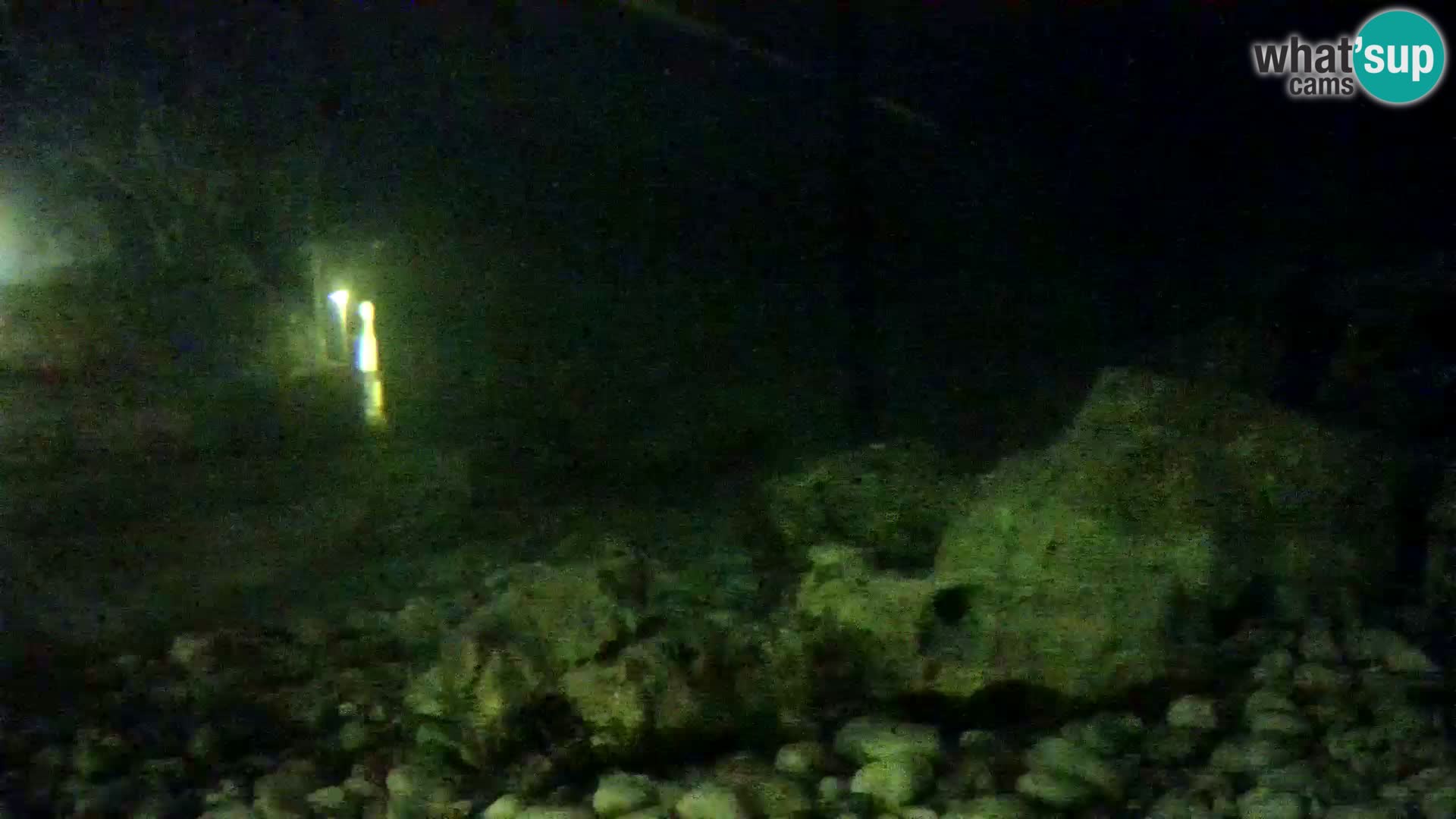 Aquario marino esterno –  Rogoznica livecam Croazia