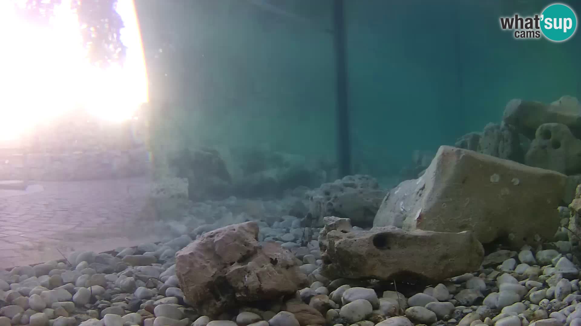 Outdoor Marine Aquarium Rogoznica webcam Croatia