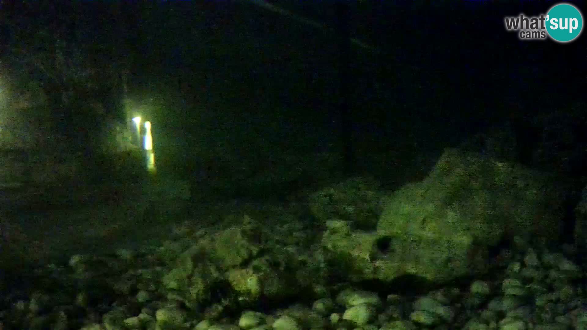 Aquario marino esterno –  Rogoznica livecam Croazia