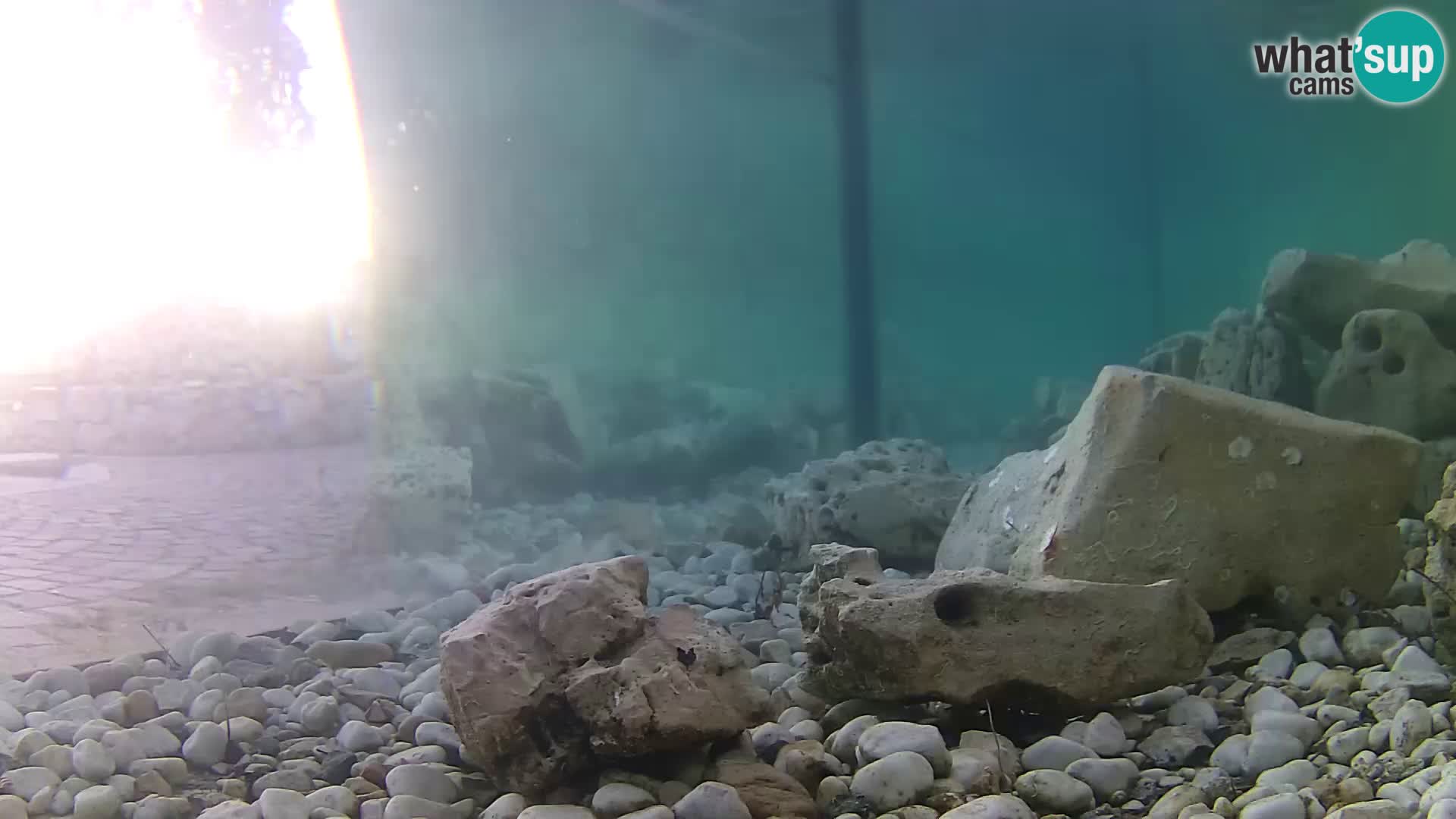 Marine Aquarium im Freien Rogoznica webcam Kroatien