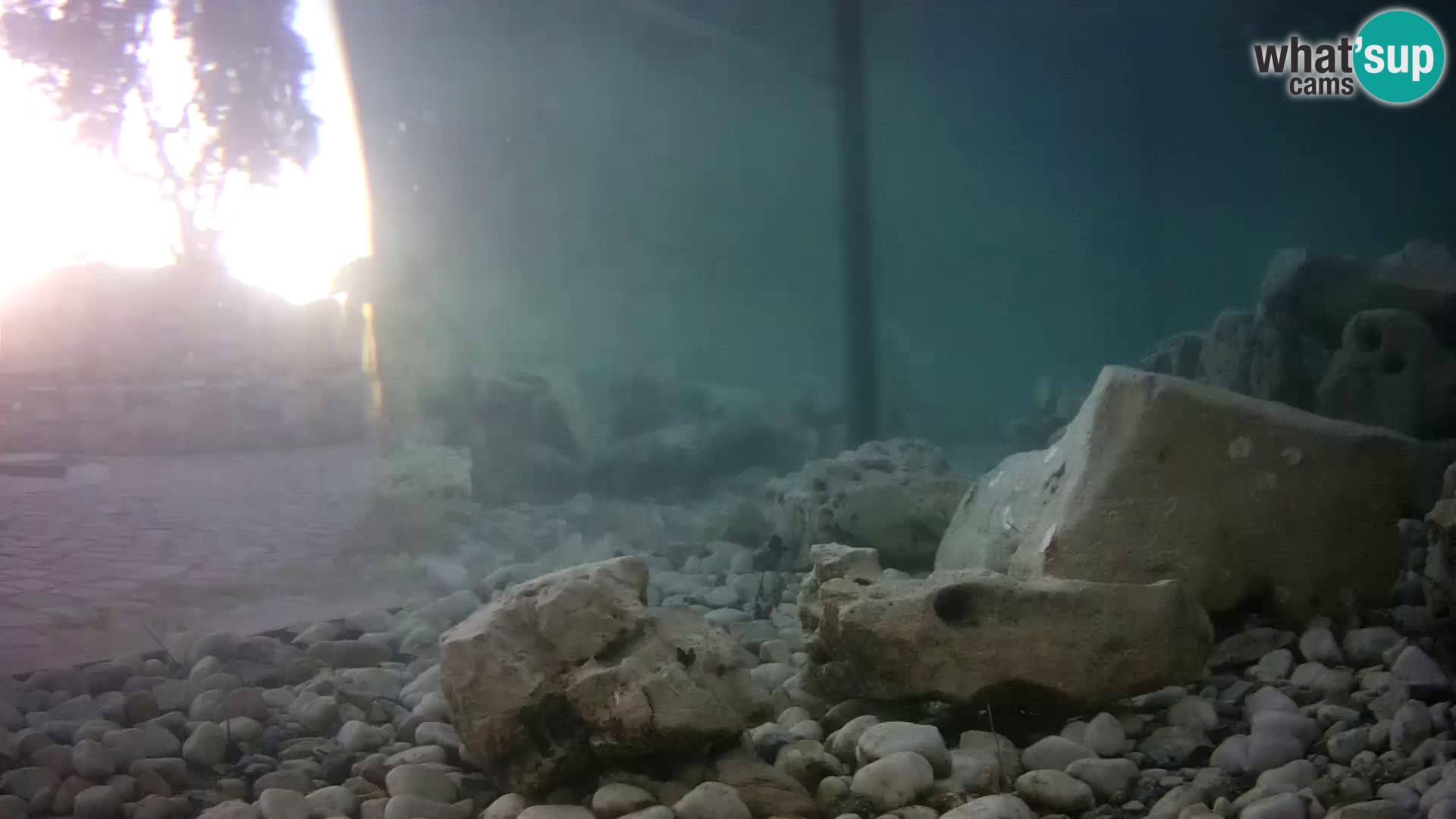 Outdoor Marine Aquarium Rogoznica webcam Croatia