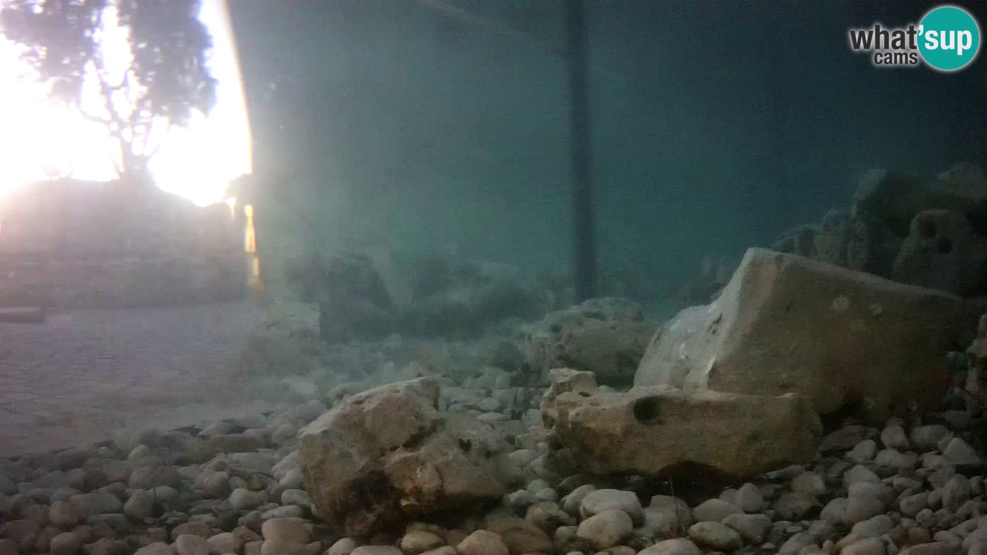 Outdoor Marine Aquarium Rogoznica webcam Croatia