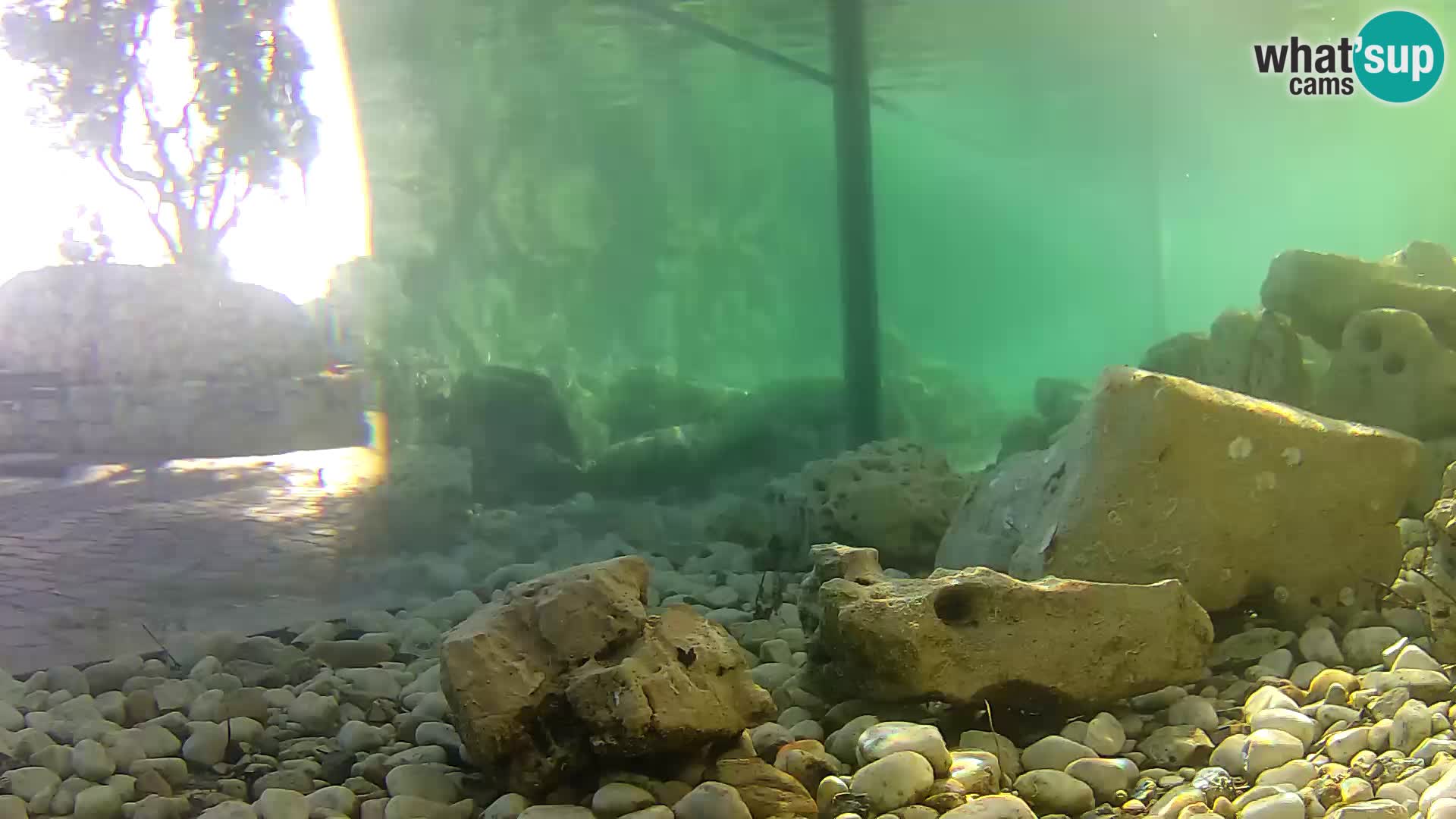 Marine Aquarium im Freien Rogoznica webcam Kroatien