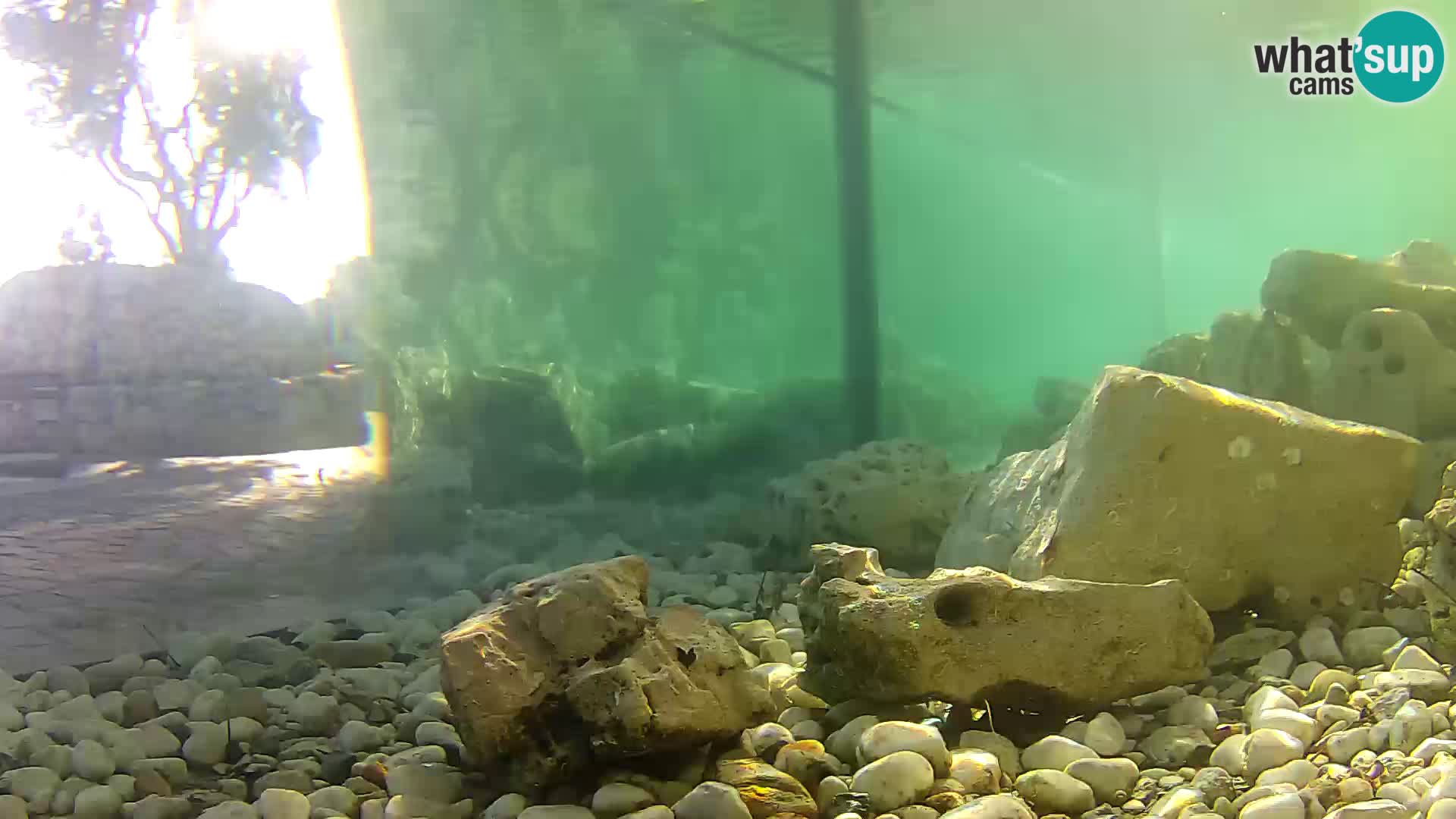 Marine Aquarium im Freien Rogoznica webcam Kroatien