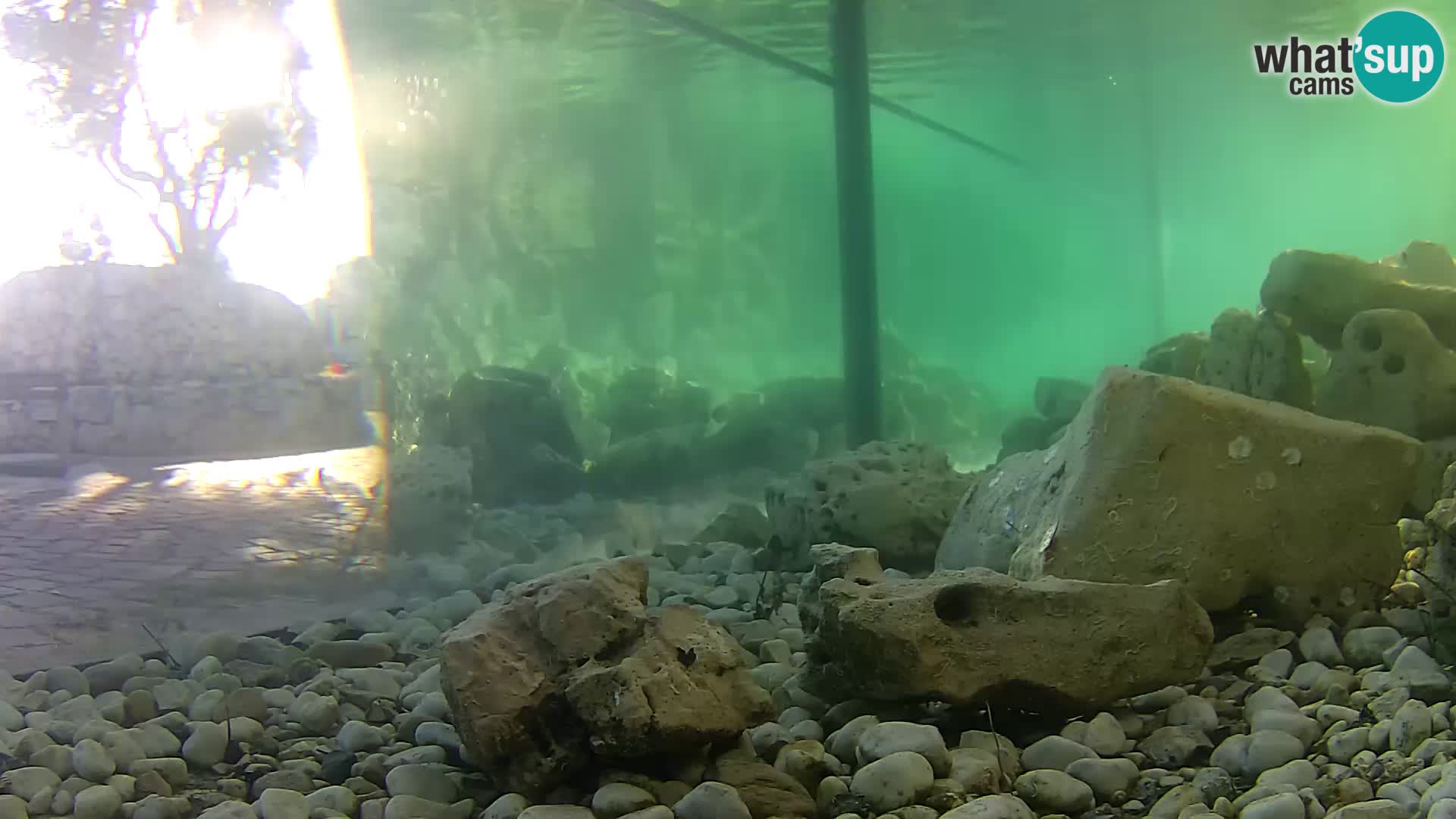 Outdoor Marine Aquarium Rogoznica webcam Croatia