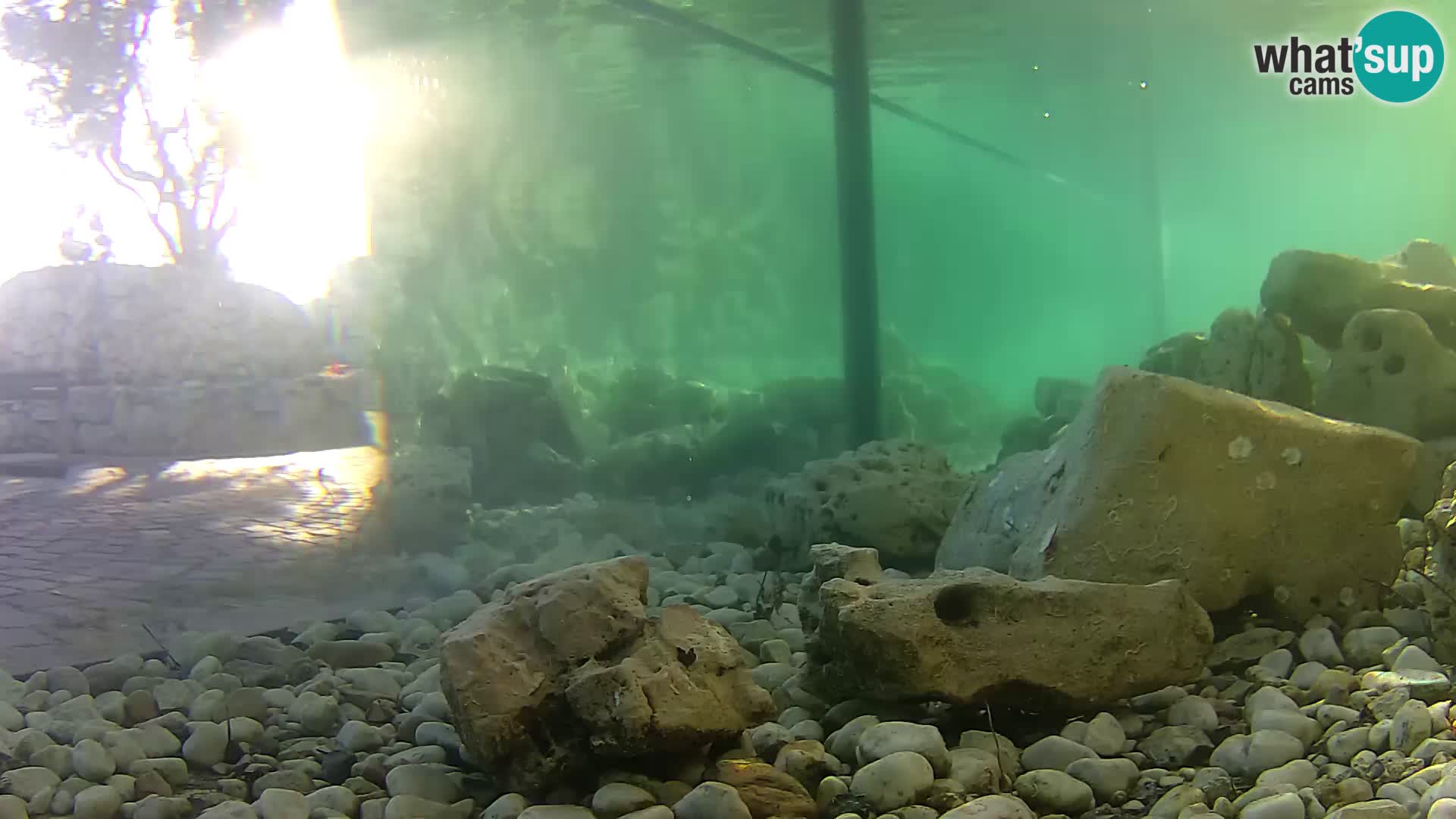 Marine Aquarium im Freien Rogoznica webcam Kroatien