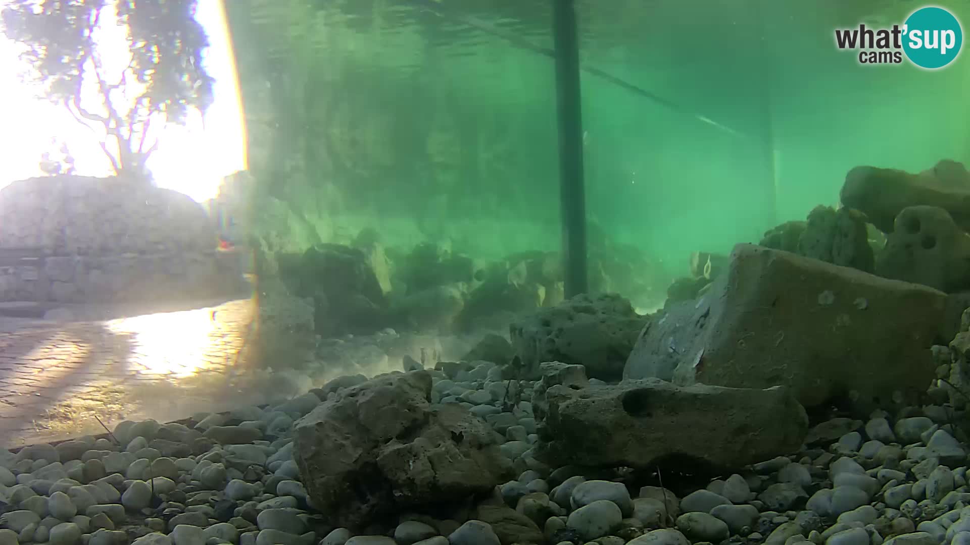Marine Aquarium im Freien Rogoznica webcam Kroatien