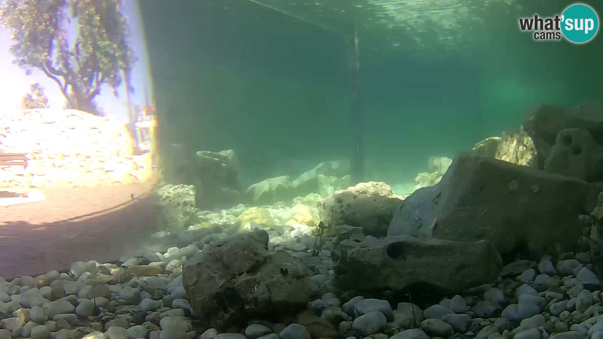 Webcam de l’aquarium marin extérieur de Rogoznica Croatie