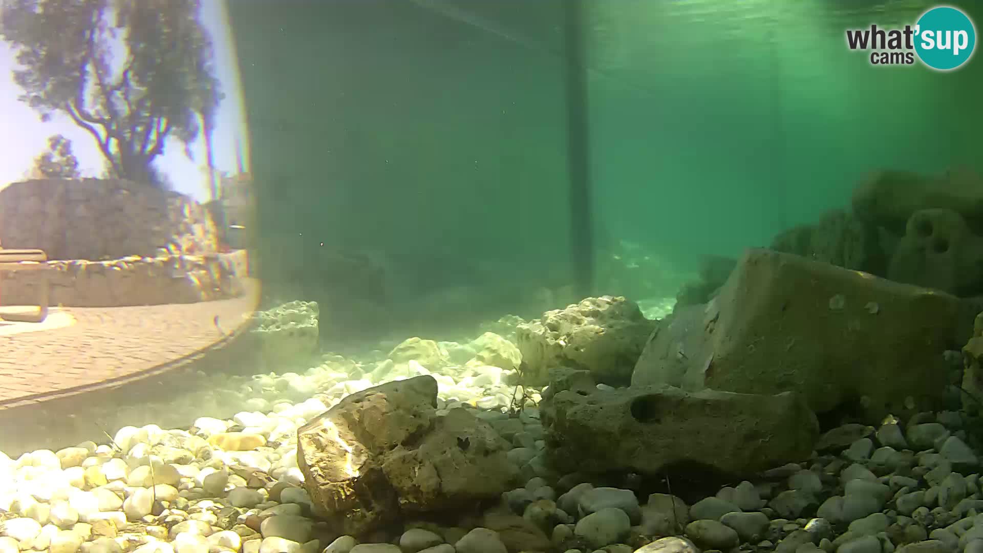 Outdoor Marine Aquarium Rogoznica webcam Croatia