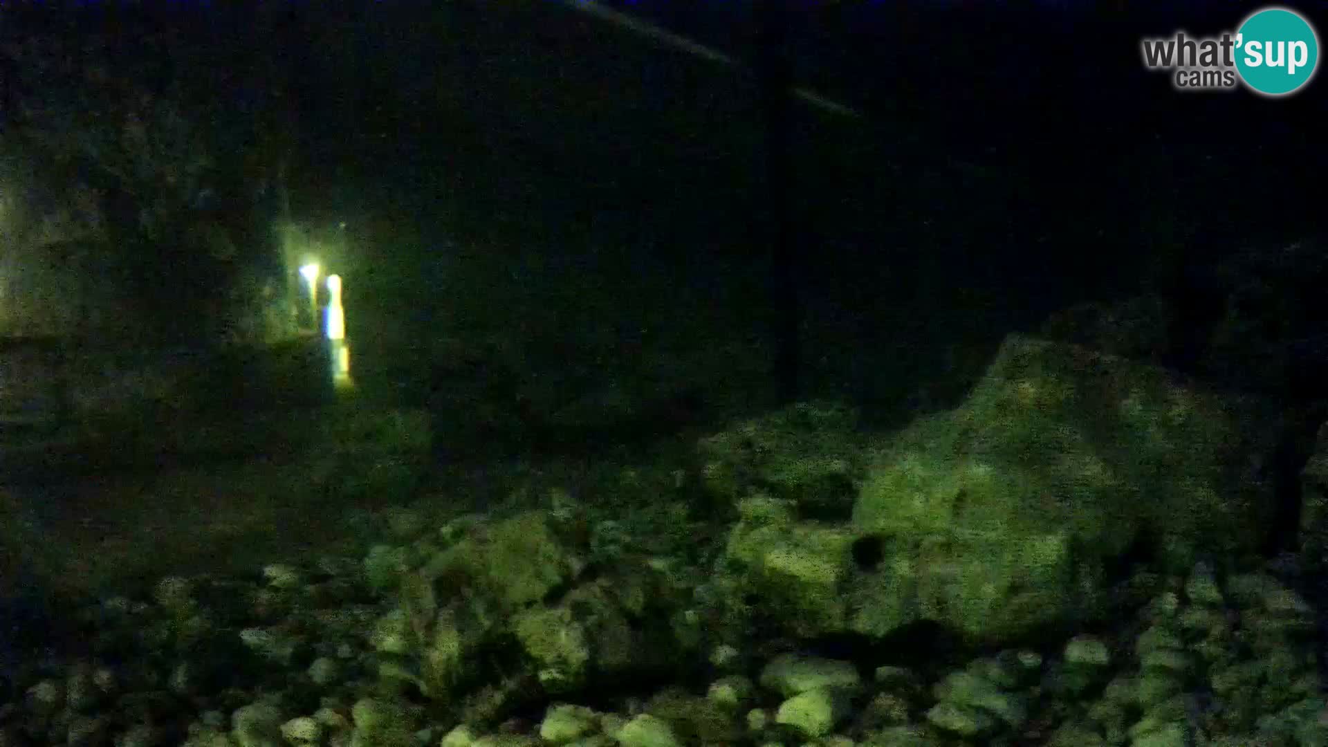 Outdoor Marine Aquarium Rogoznica webcam Croatia