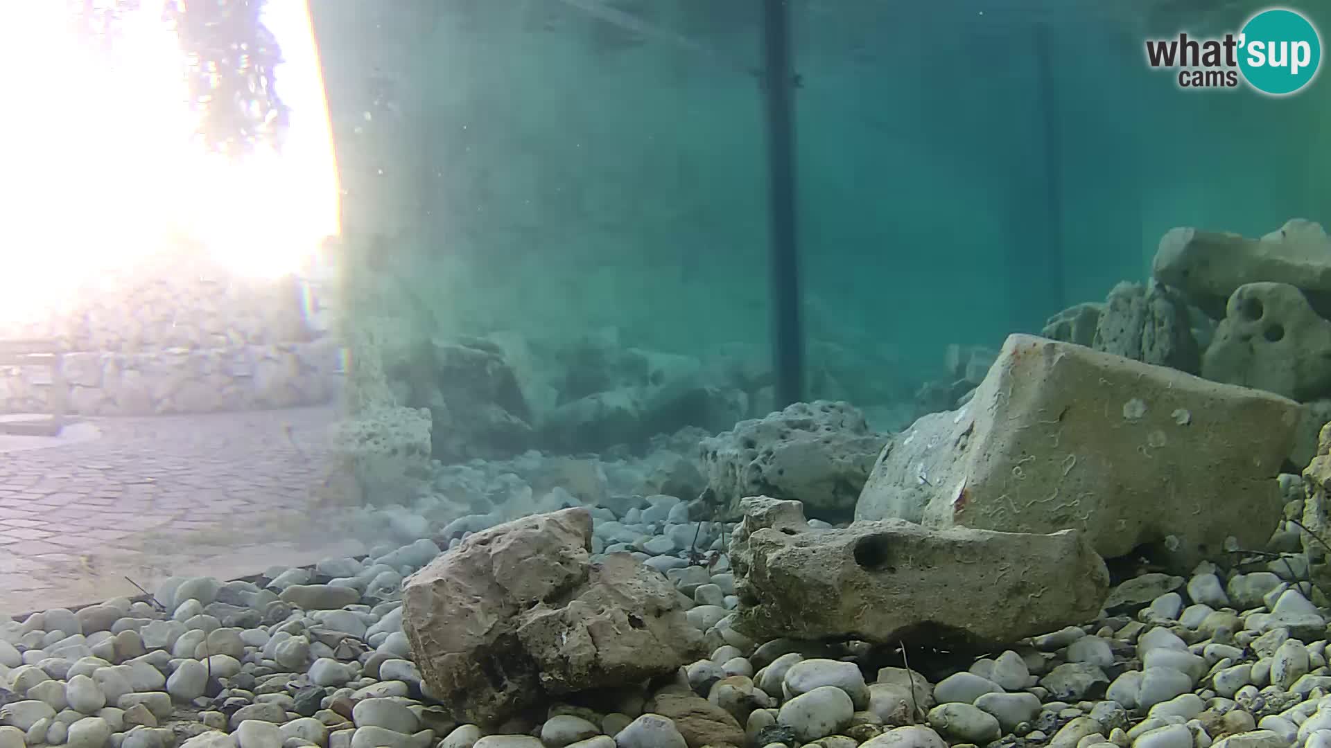 Outdoor Marine Aquarium Rogoznica webcam Croatia