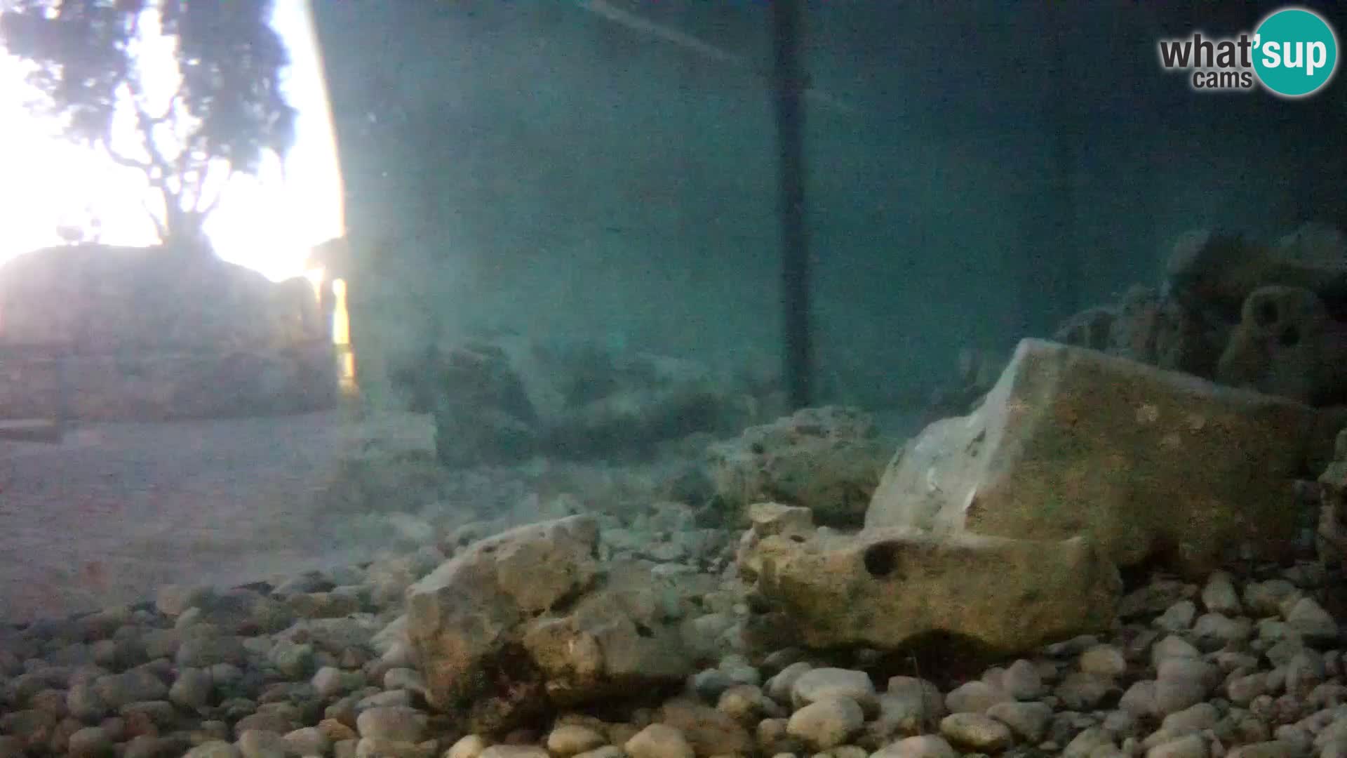 Marine Aquarium im Freien Rogoznica webcam Kroatien