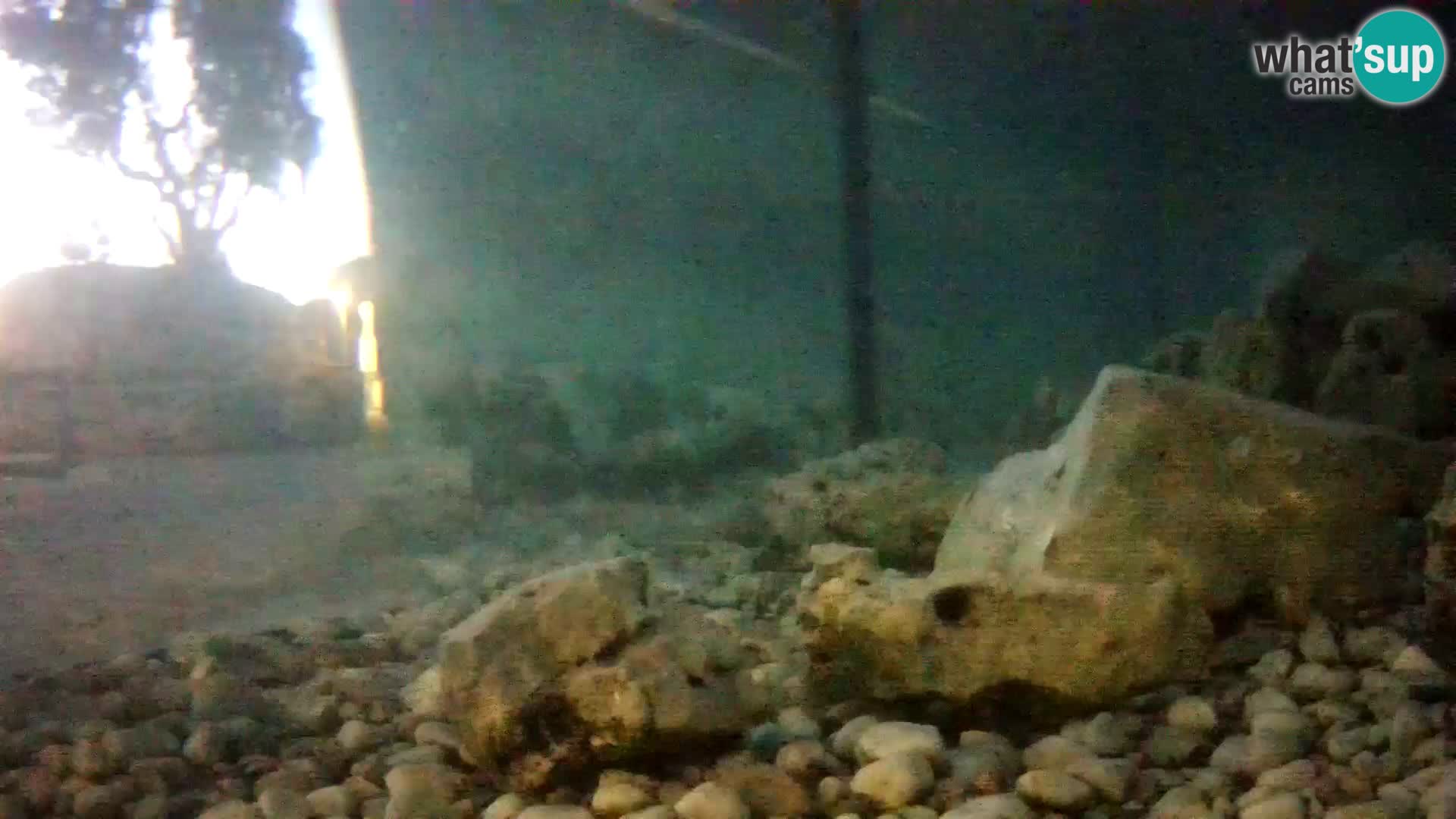 Outdoor Marine Aquarium Rogoznica webcam Croatia