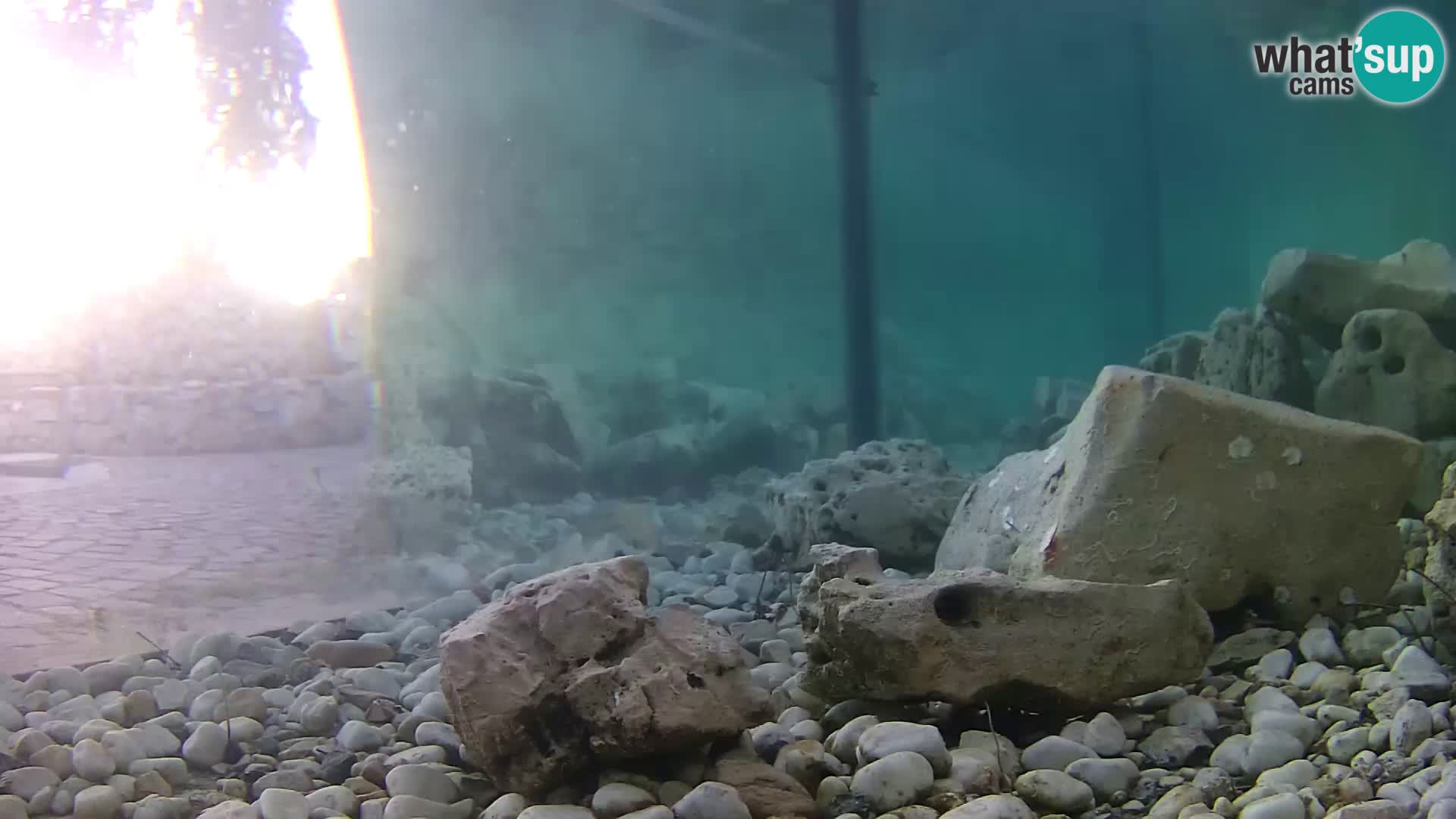 Marine Aquarium im Freien Rogoznica webcam Kroatien