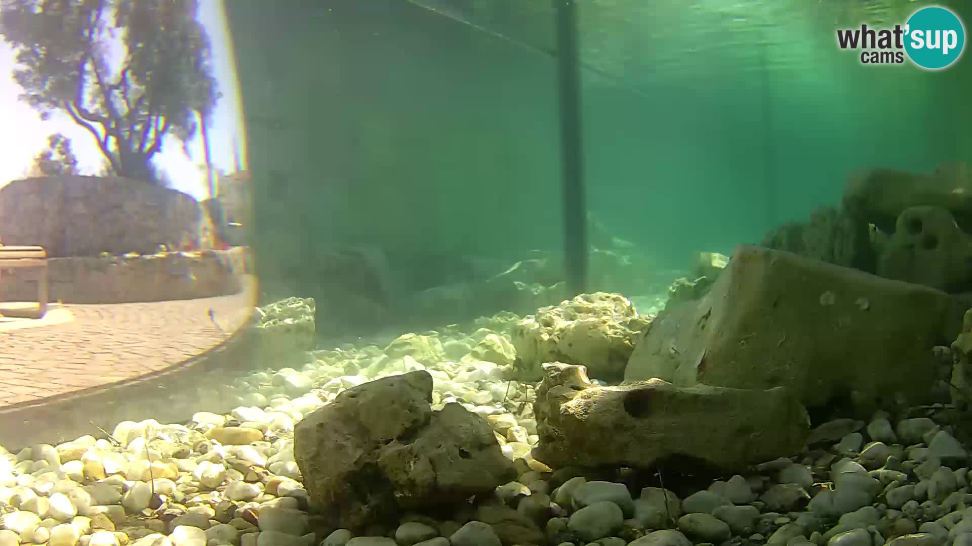 Marine Aquarium im Freien Rogoznica webcam Kroatien