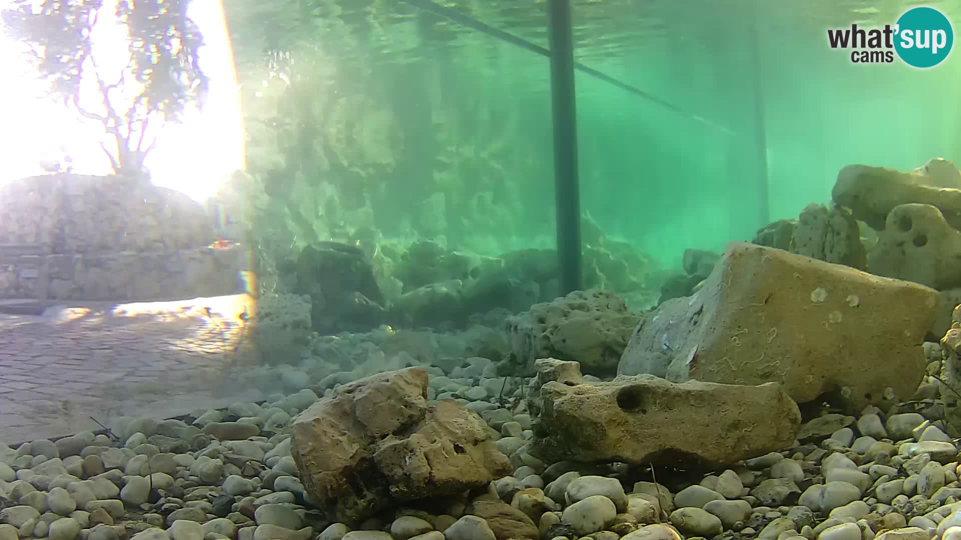 Marine Aquarium im Freien Rogoznica webcam Kroatien