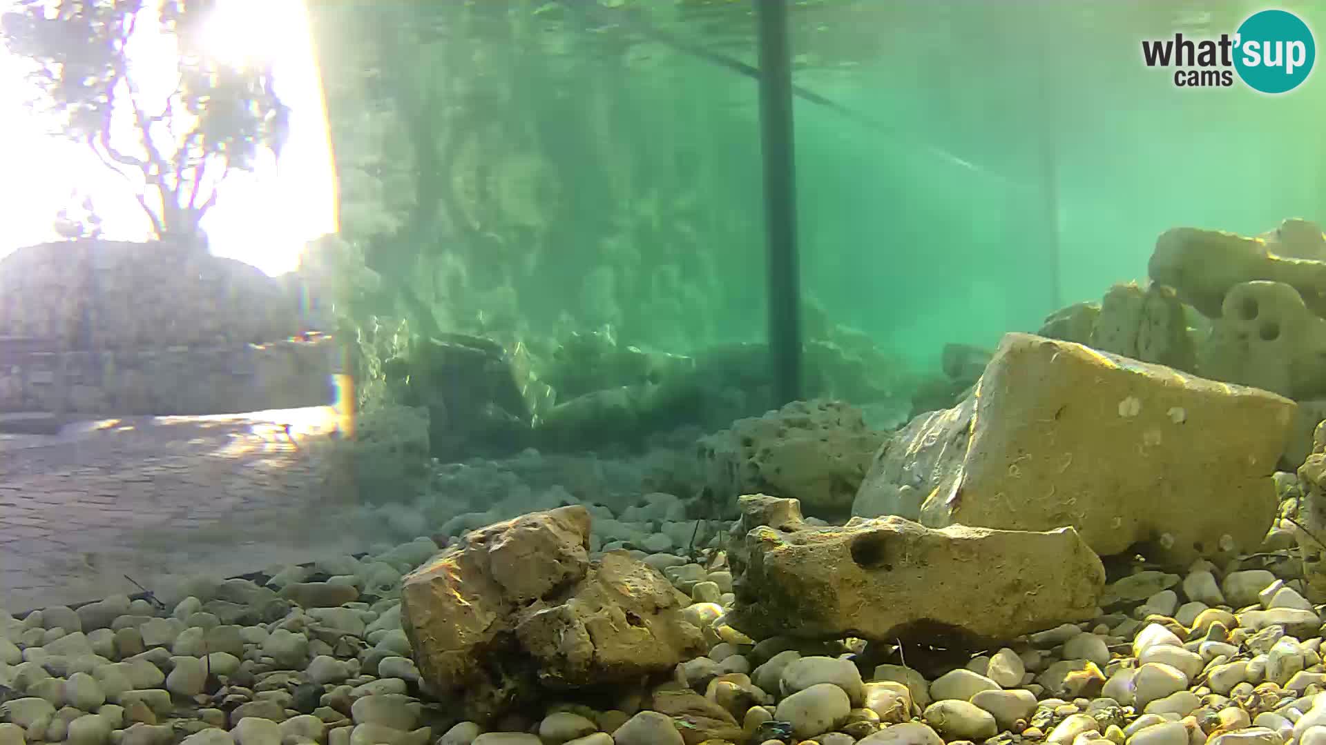 Marine Aquarium im Freien Rogoznica webcam Kroatien