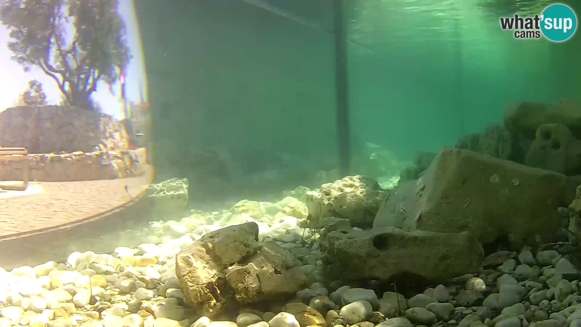 Marine Aquarium im Freien Rogoznica webcam Kroatien
