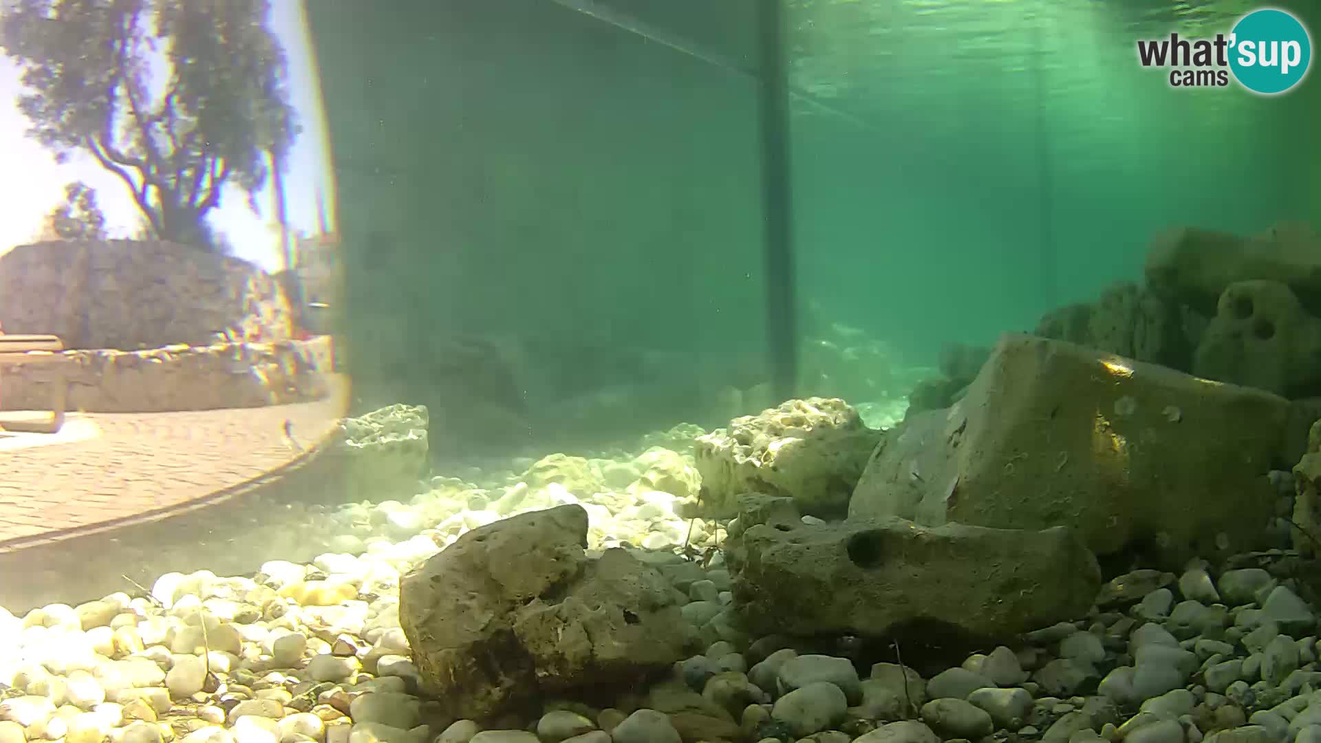 Marine Aquarium im Freien Rogoznica webcam Kroatien