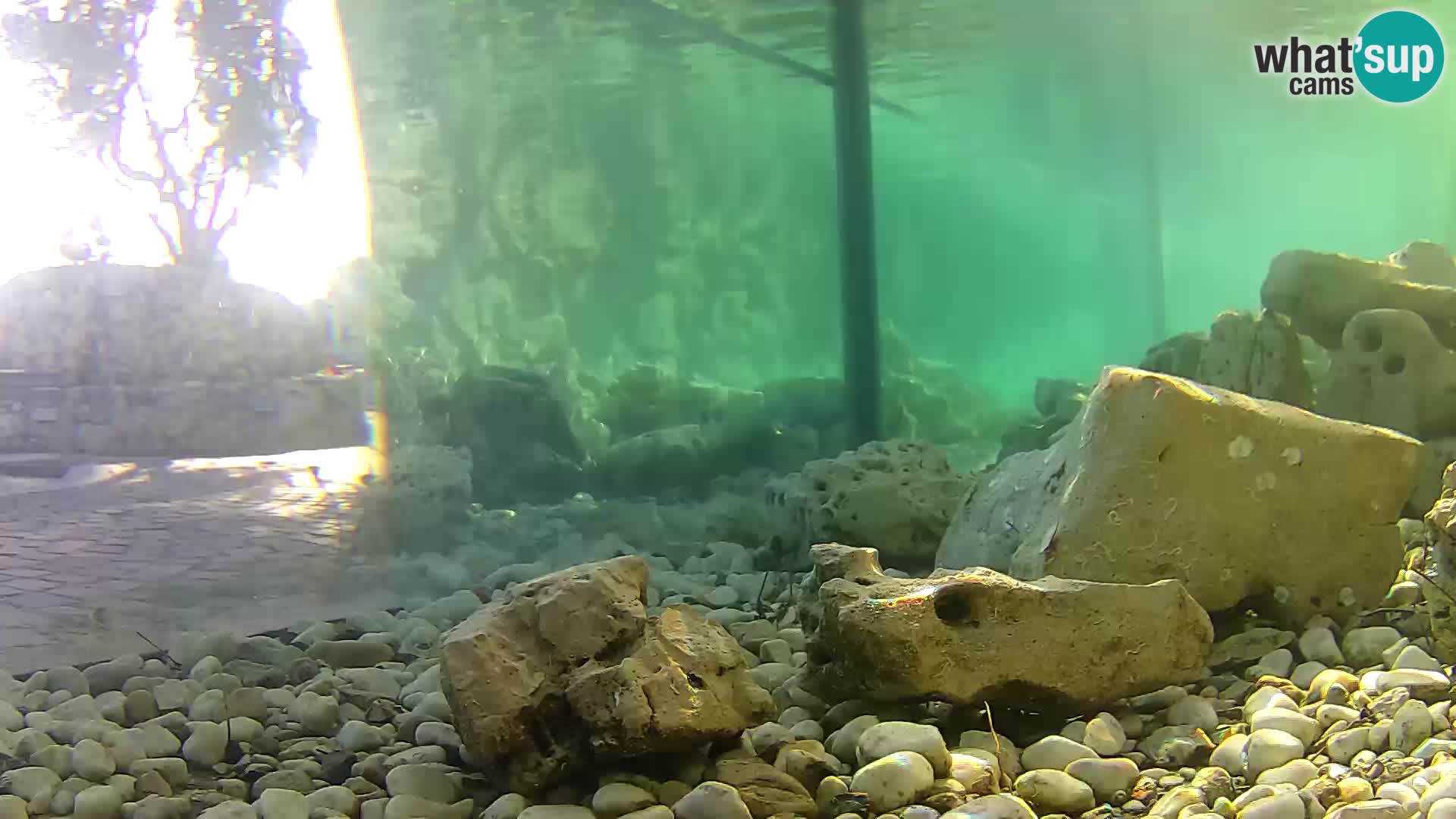 Marine Aquarium im Freien Rogoznica webcam Kroatien