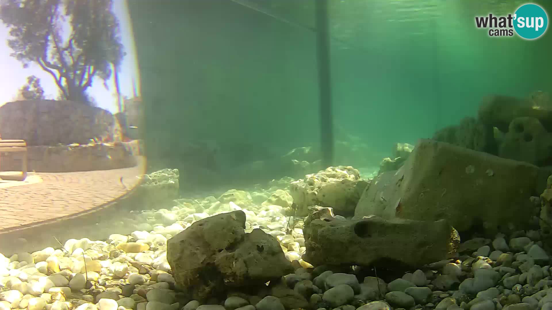 Marine Aquarium im Freien Rogoznica webcam Kroatien