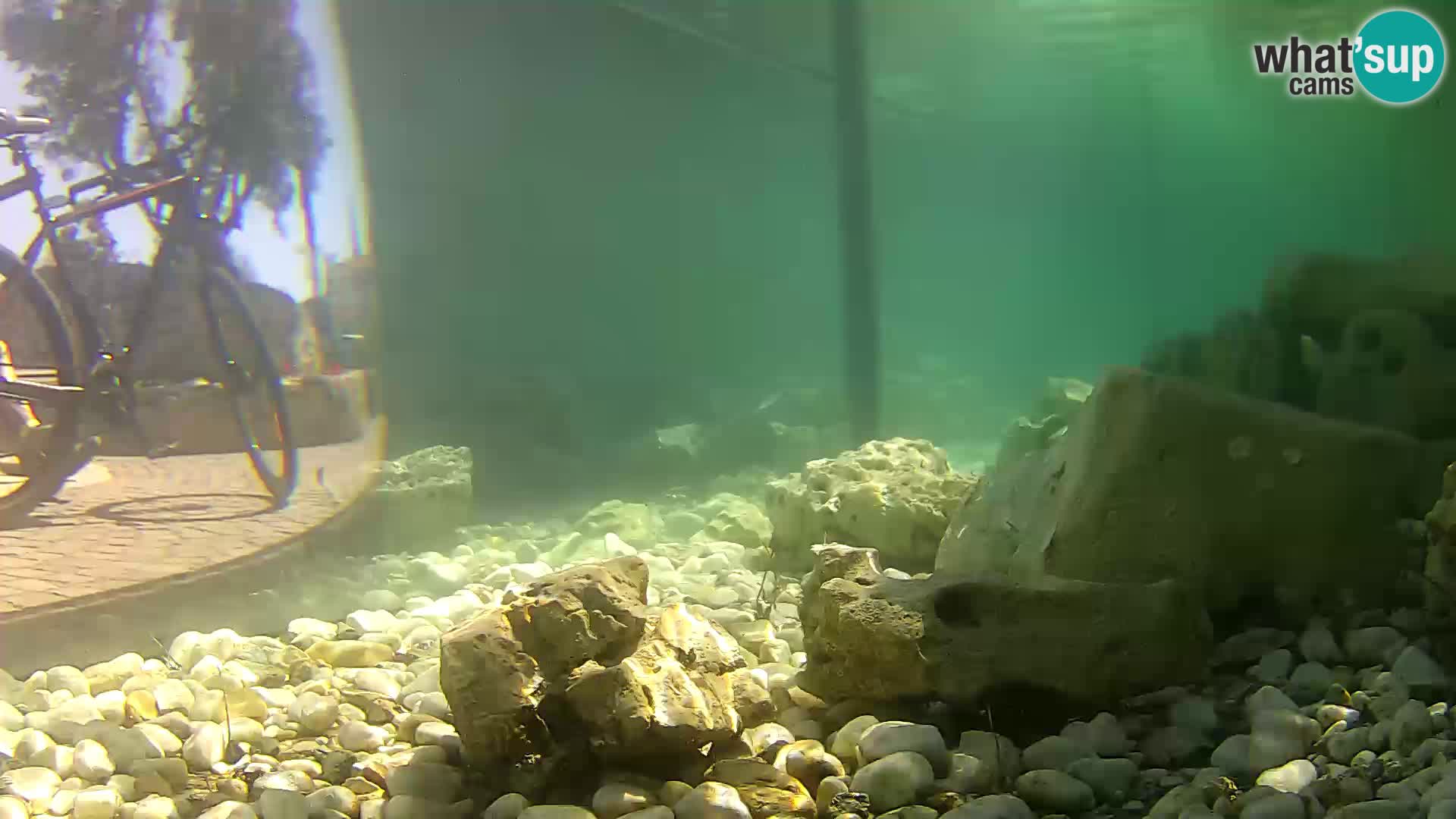 Marine Aquarium im Freien Rogoznica webcam Kroatien