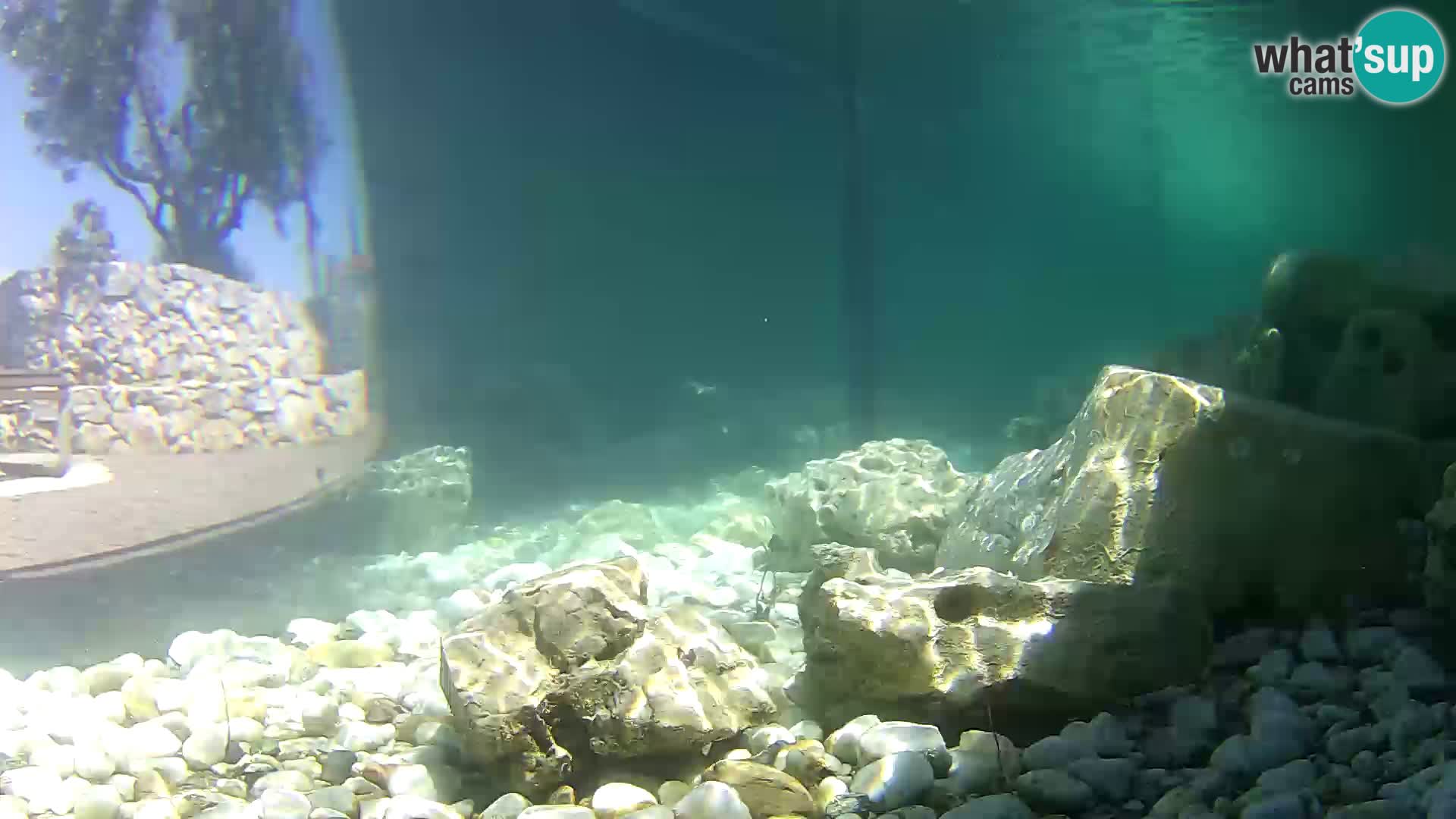Marine Aquarium im Freien Rogoznica webcam Kroatien