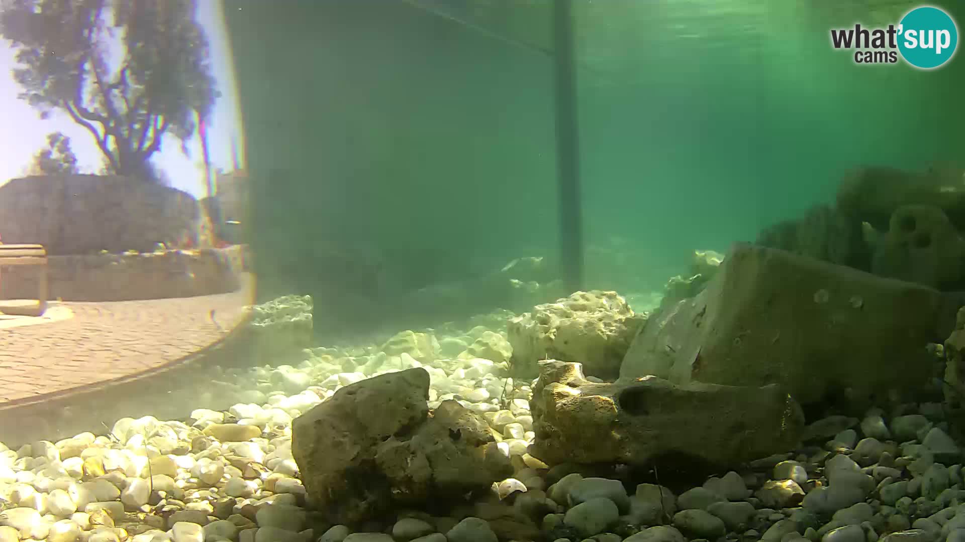 Outdoor Marine Aquarium Rogoznica webcam Croatia