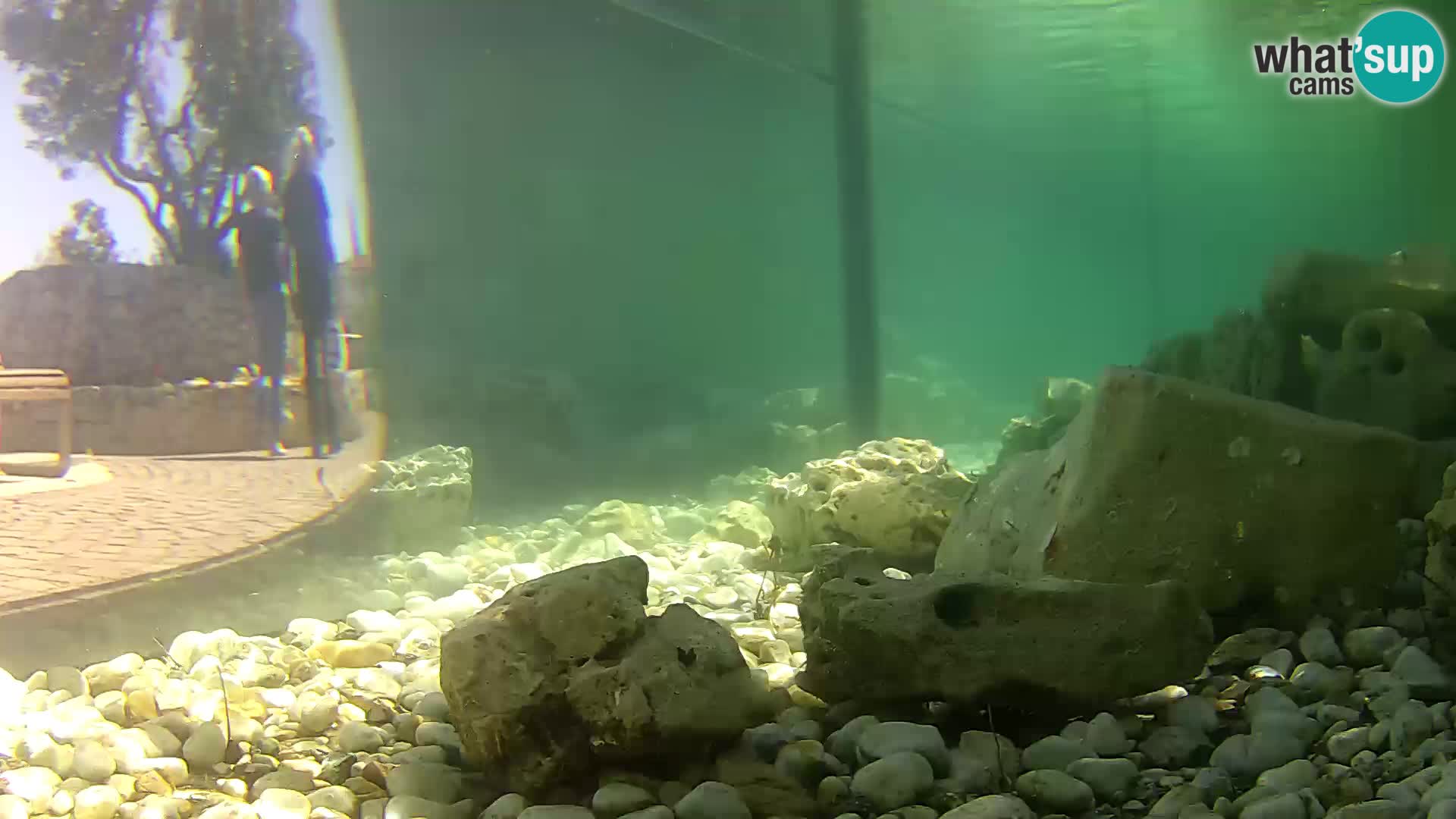 Outdoor Marine Aquarium Rogoznica webcam Croatia