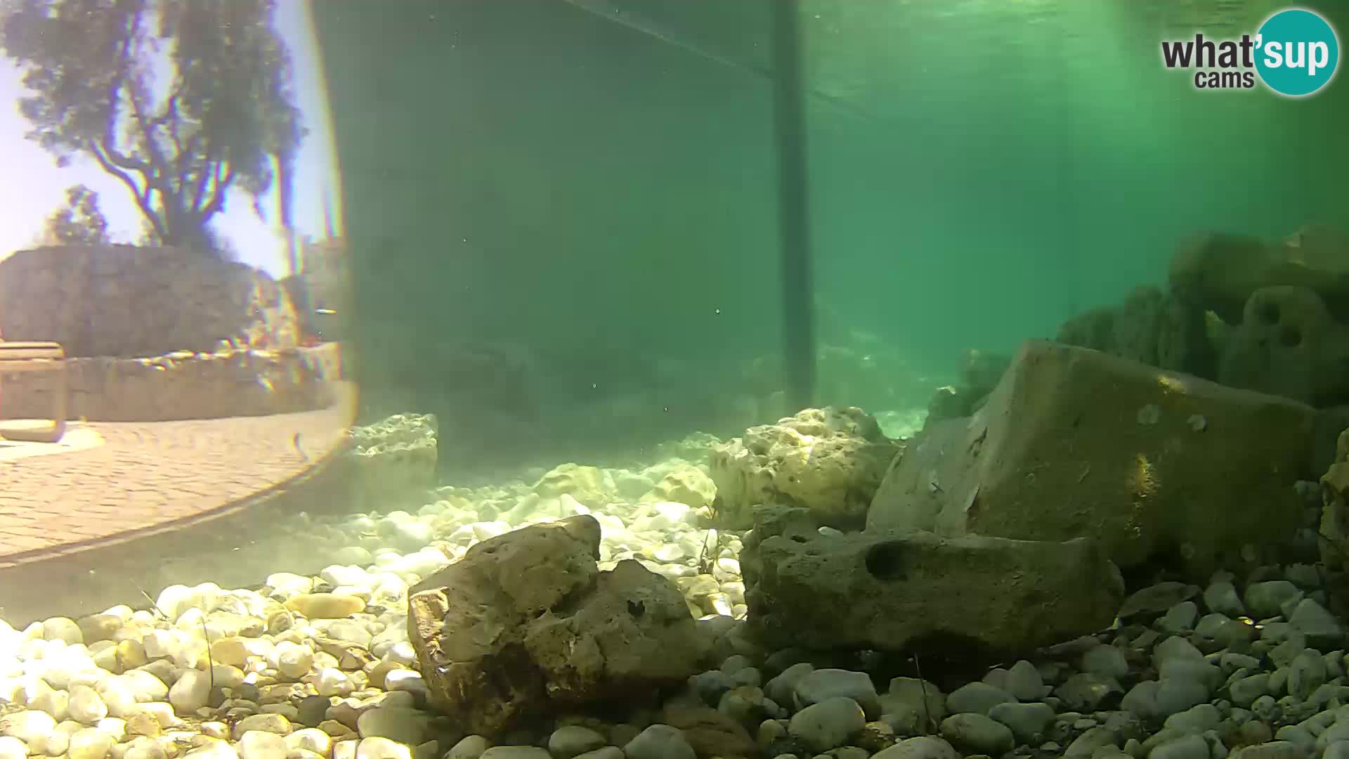 Outdoor Marine Aquarium Rogoznica webcam Croatia
