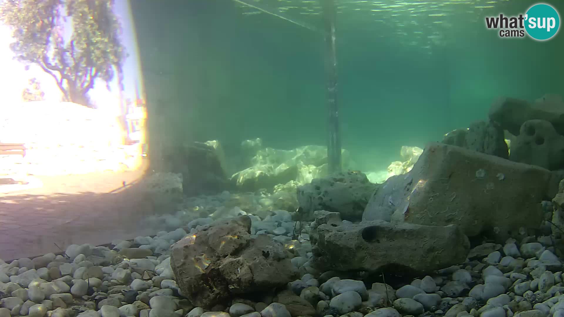 Zunanji morski akvarij Rogoznica spletna kamera Hrvaška