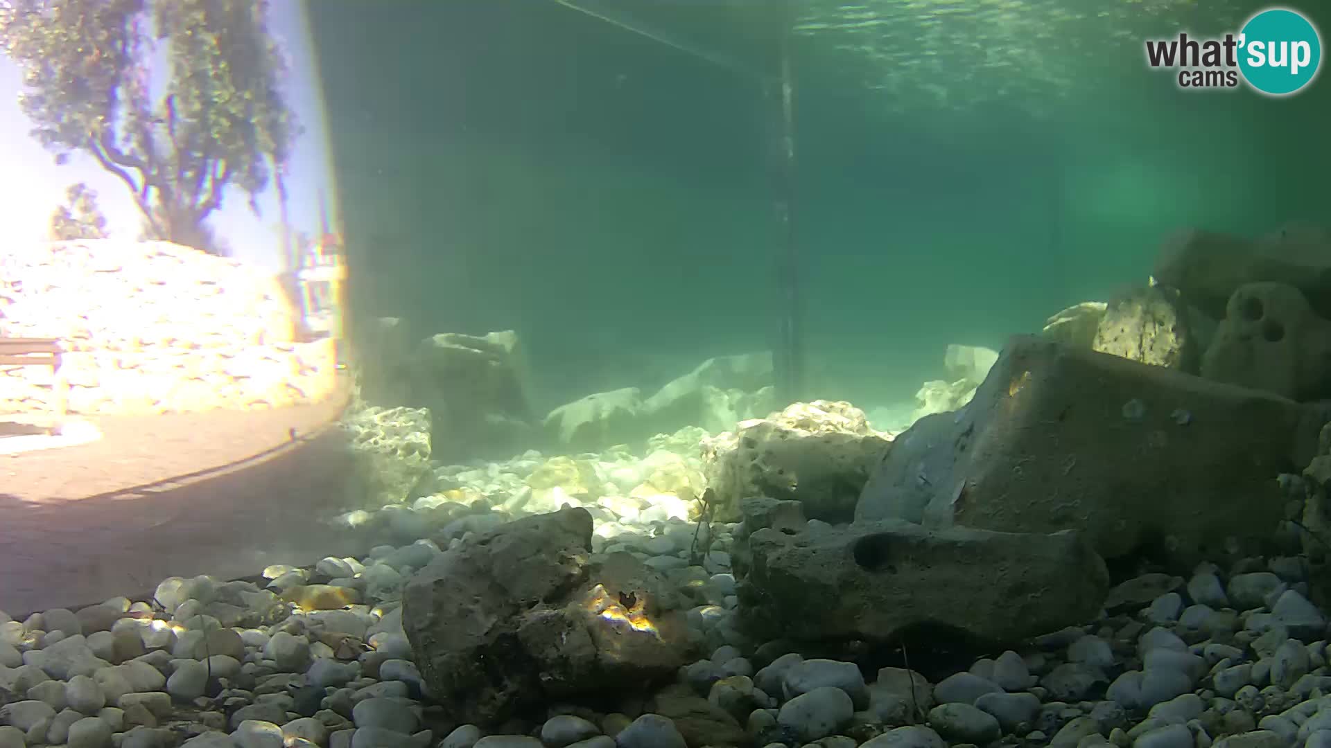 Outdoor Marine Aquarium Rogoznica webcam Croatia