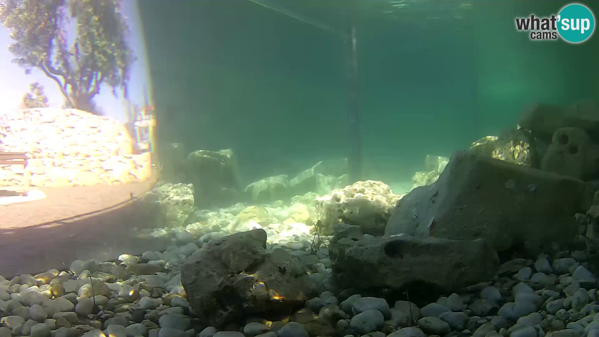 Marine Aquarium im Freien Rogoznica webcam Kroatien