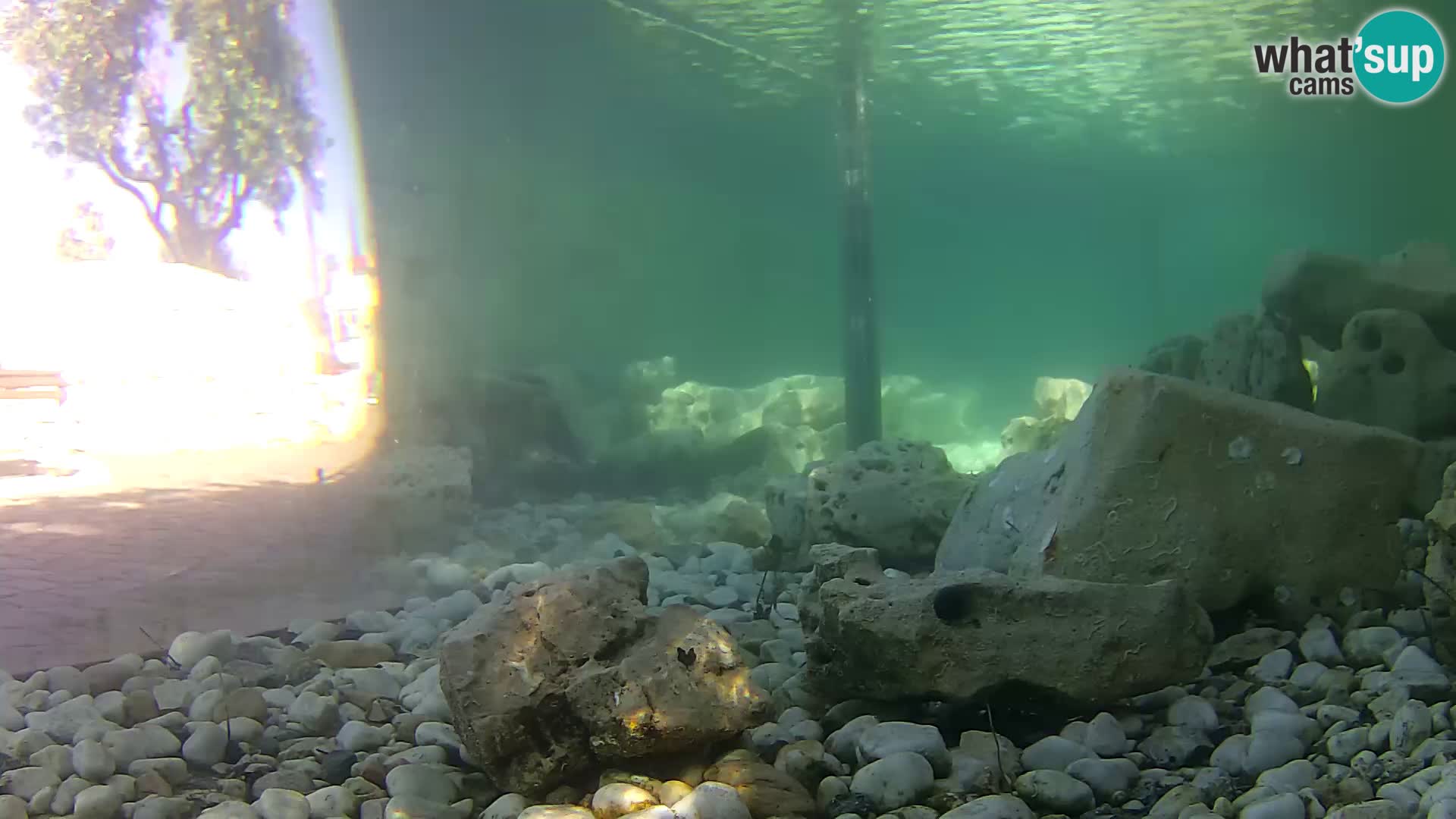 Outdoor Marine Aquarium Rogoznica webcam Croatia