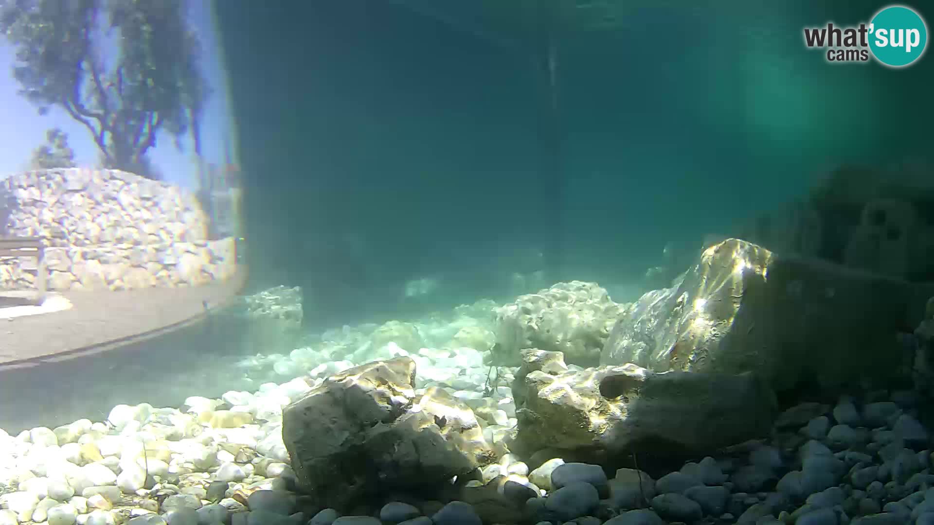 Zunanji morski akvarij Rogoznica spletna kamera Hrvaška