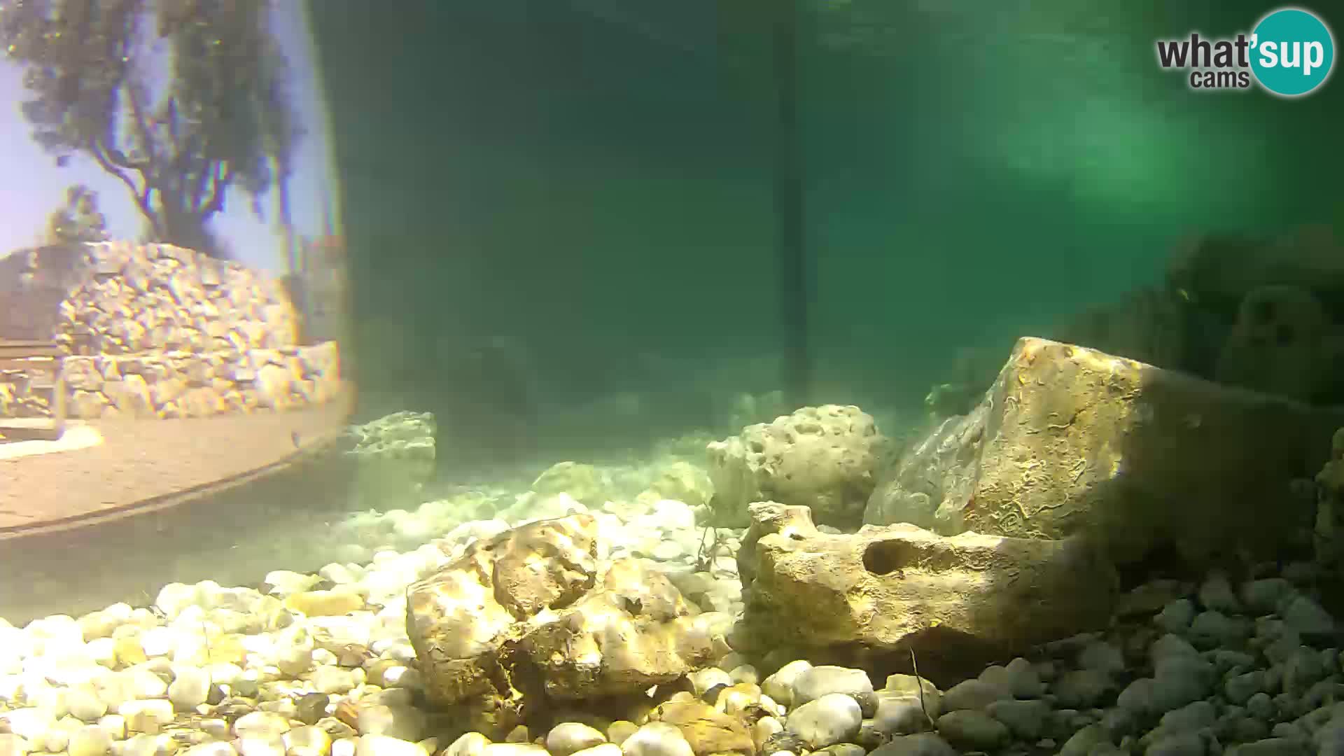 Outdoor Marine Aquarium Rogoznica webcam Croatia