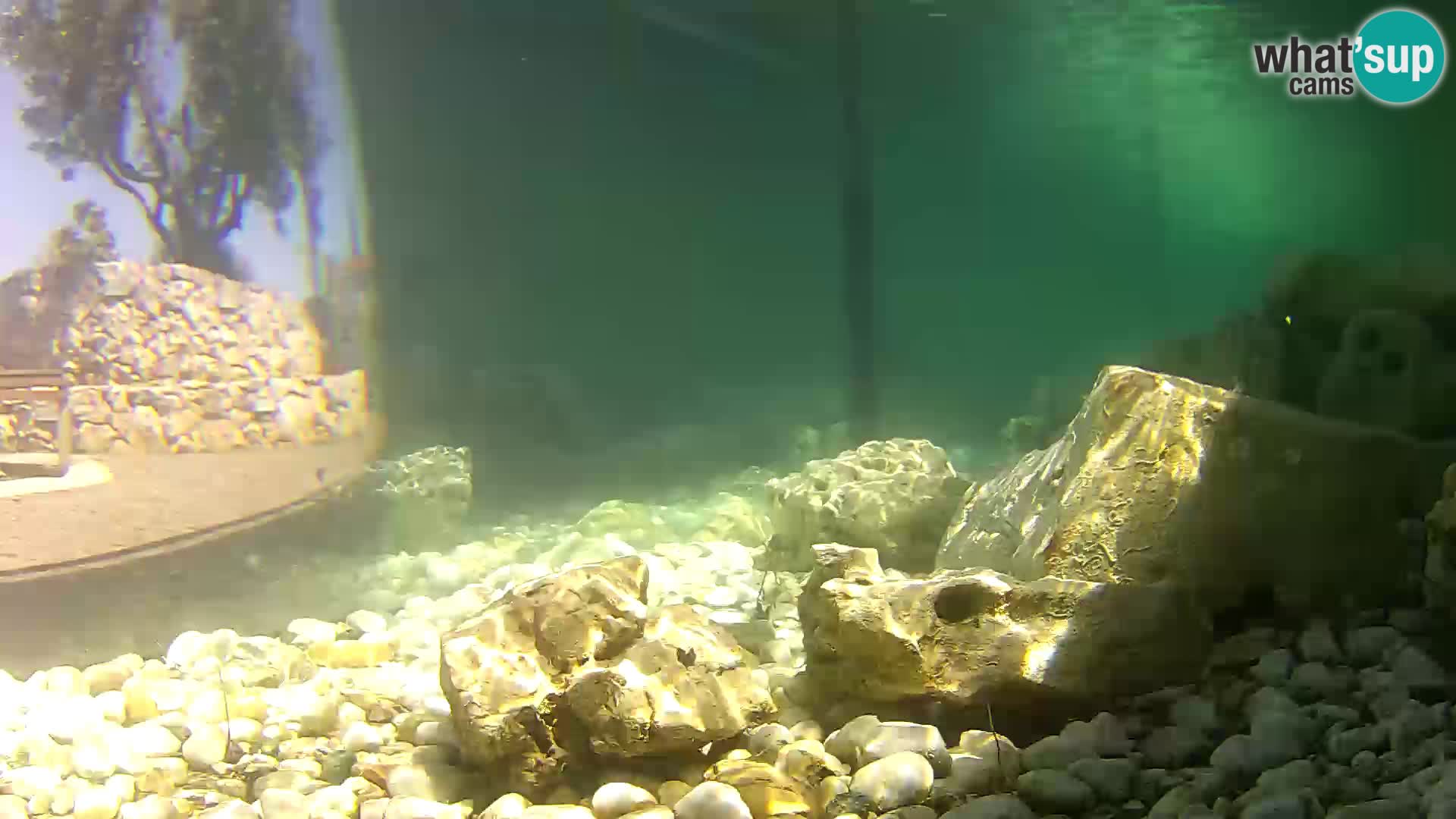 Outdoor Marine Aquarium Rogoznica webcam Croatia
