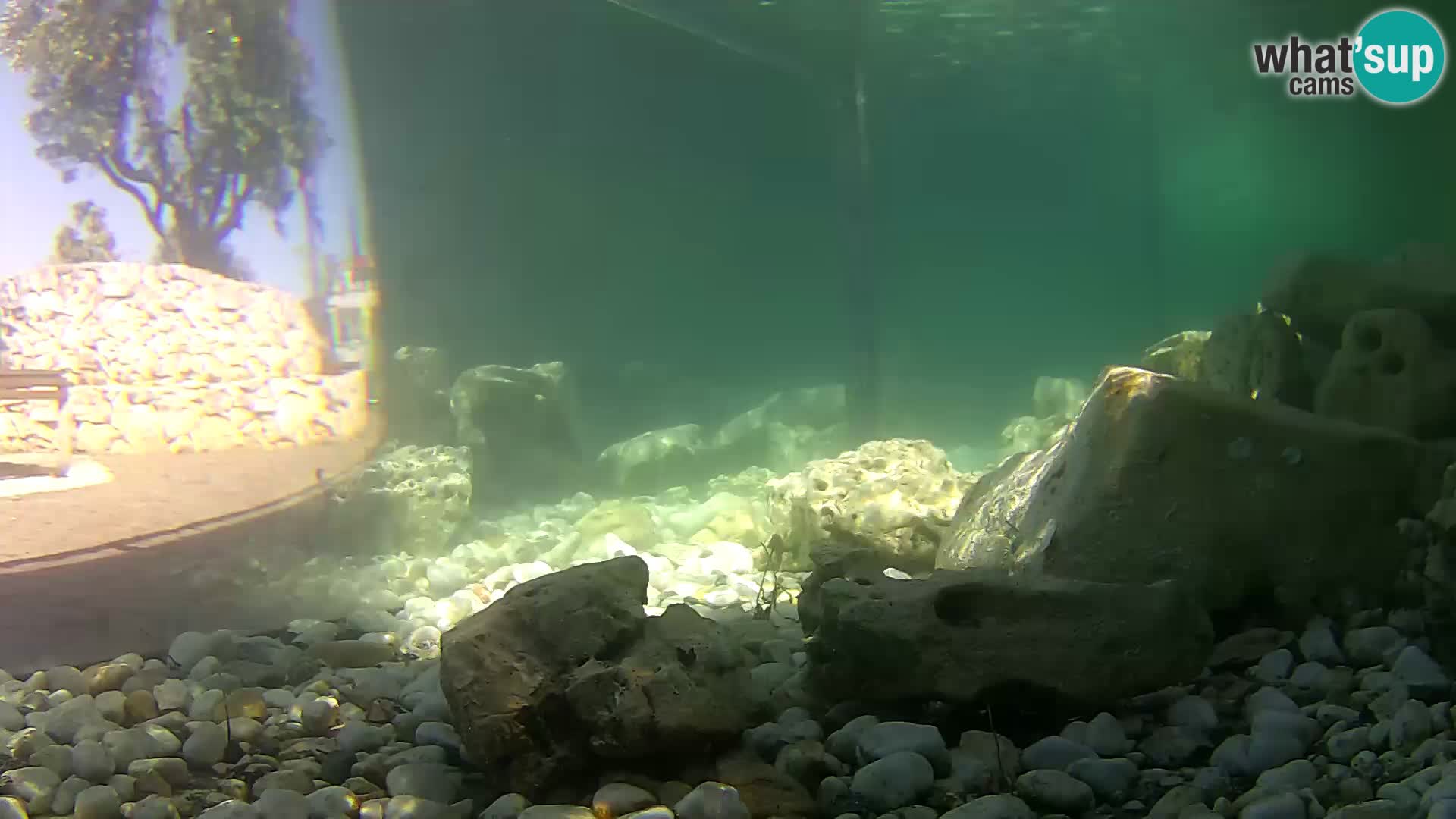 Marine Aquarium im Freien Rogoznica webcam Kroatien