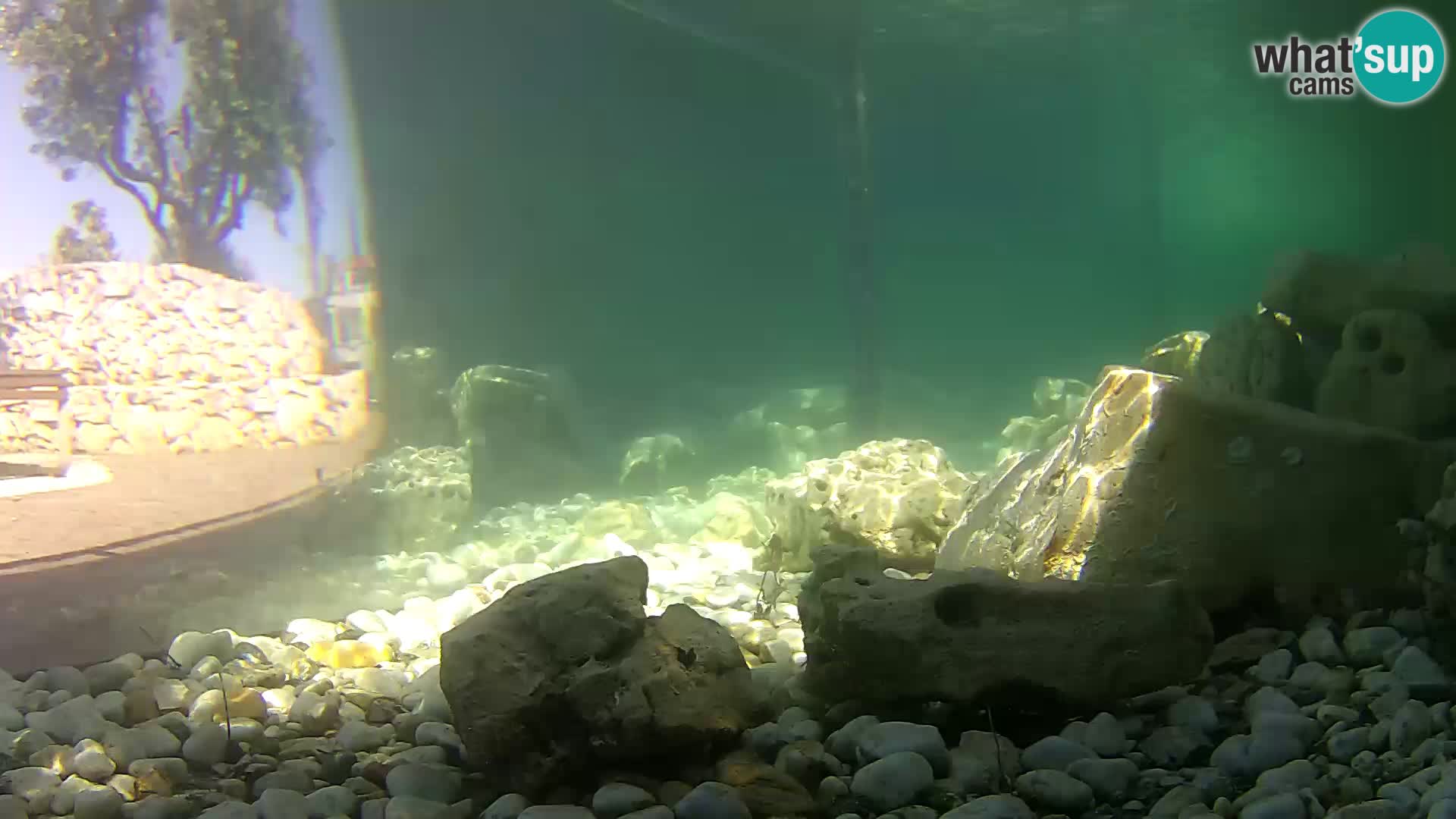 Outdoor Marine Aquarium Rogoznica webcam Croatia
