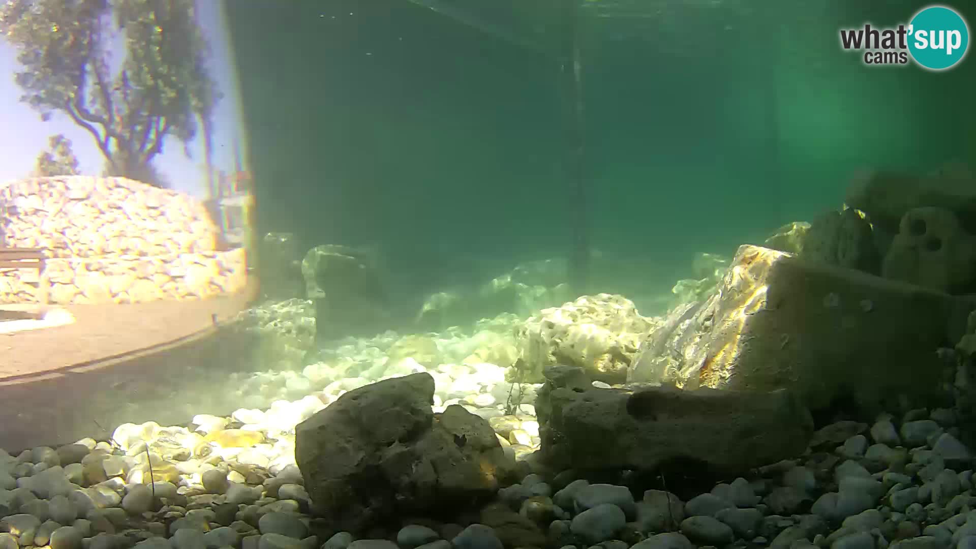 Marine Aquarium im Freien Rogoznica webcam Kroatien