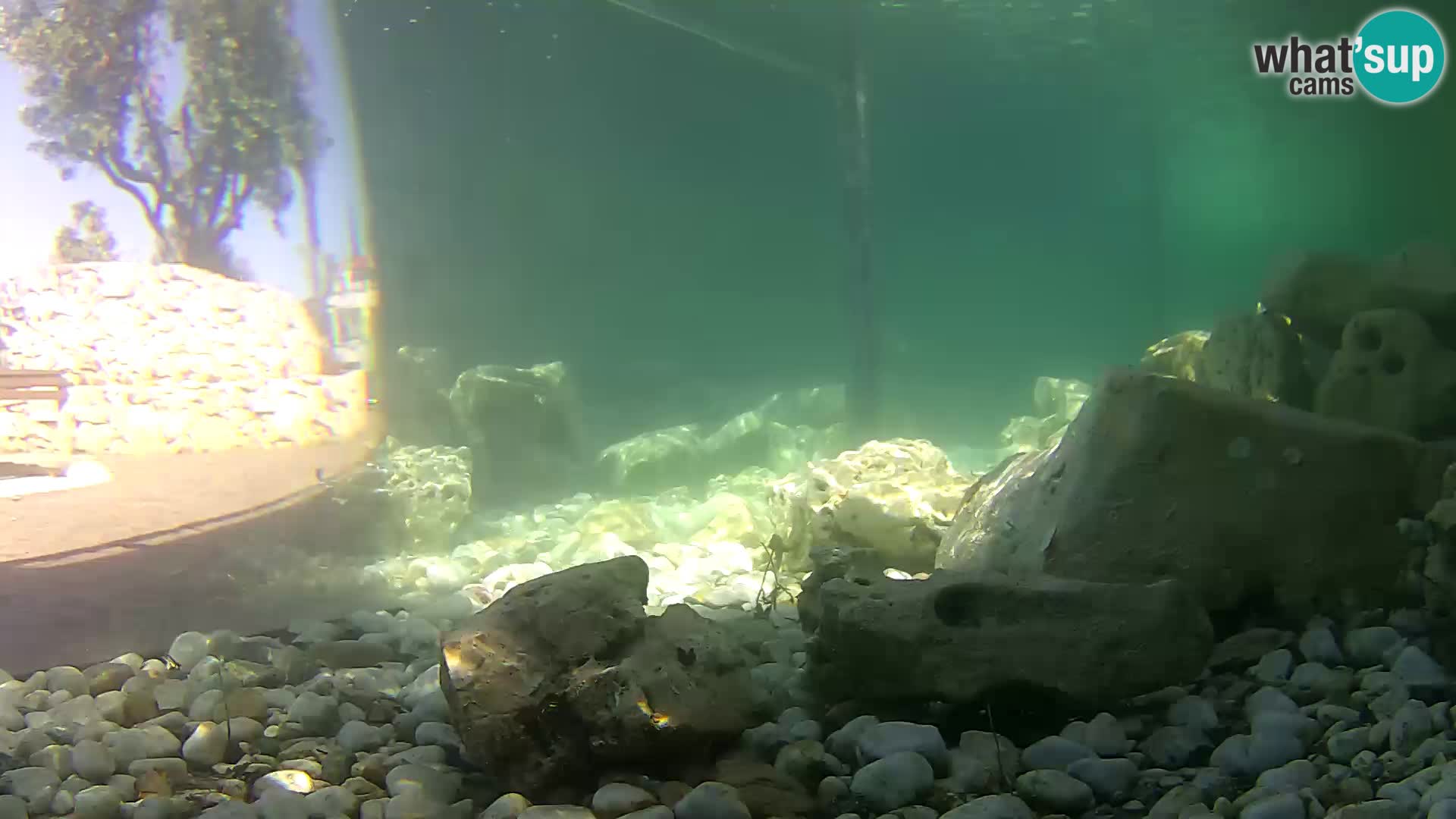 Outdoor Marine Aquarium Rogoznica webcam Croatia
