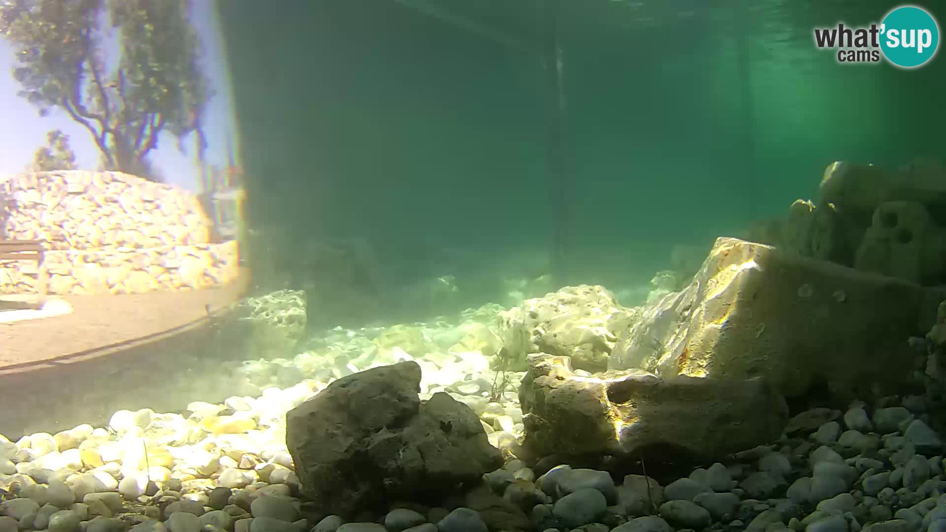 Outdoor Marine Aquarium Rogoznica webcam Croatia