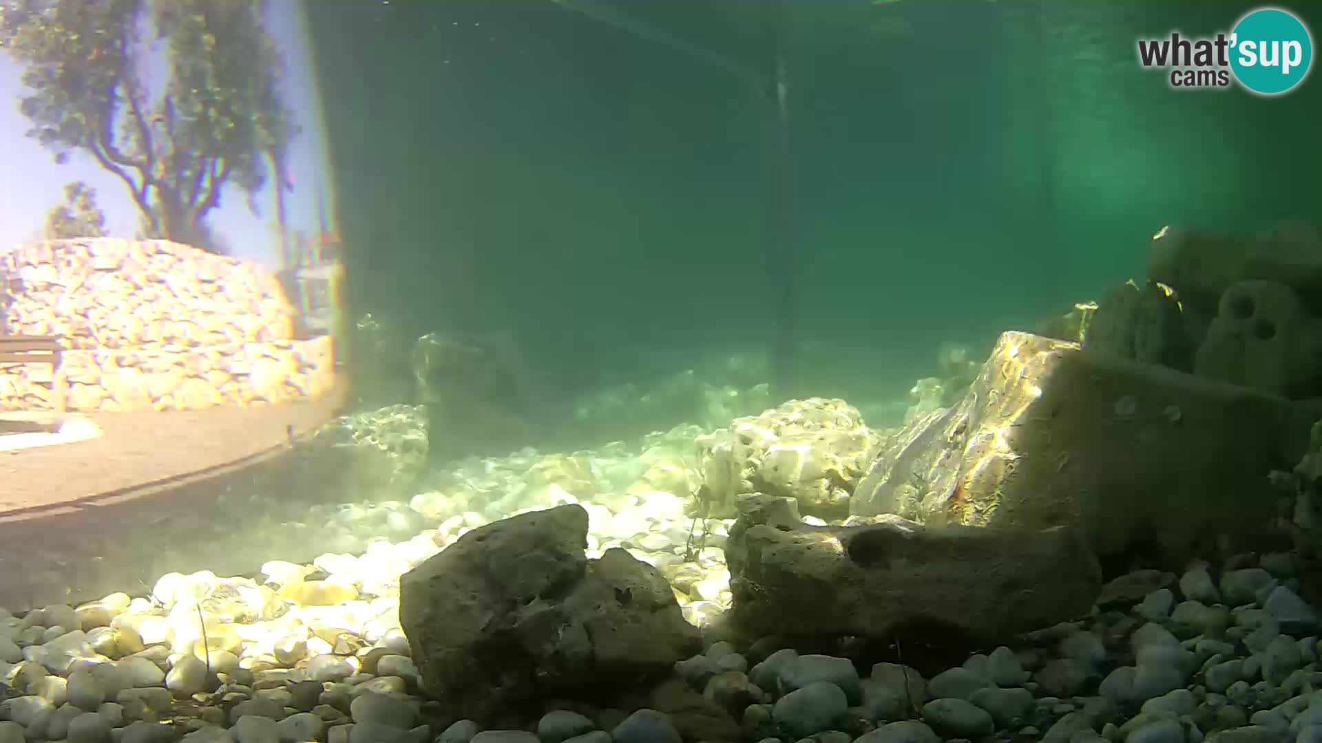 Zunanji morski akvarij Rogoznica spletna kamera Hrvaška