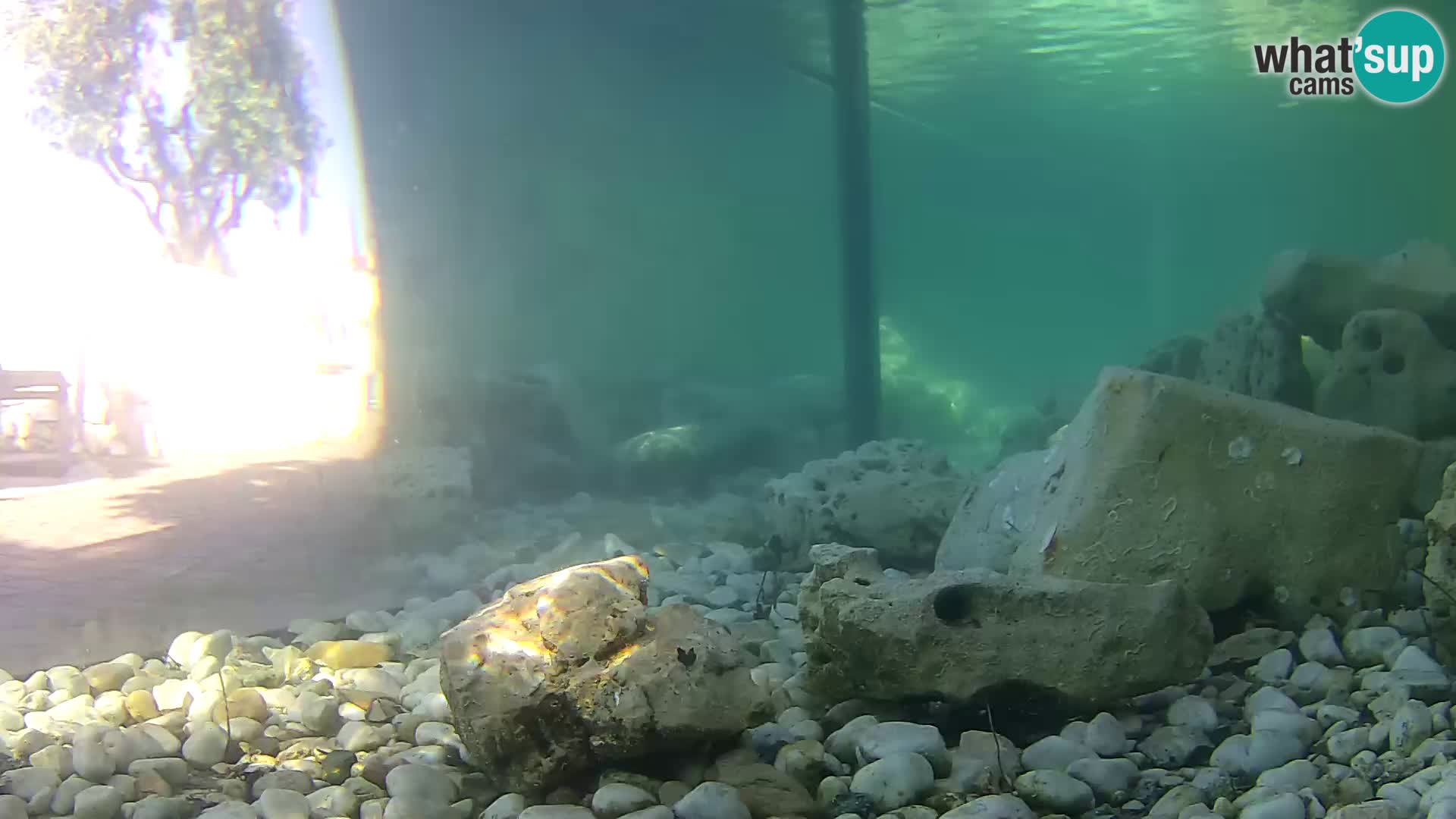 Marine Aquarium im Freien Rogoznica webcam Kroatien