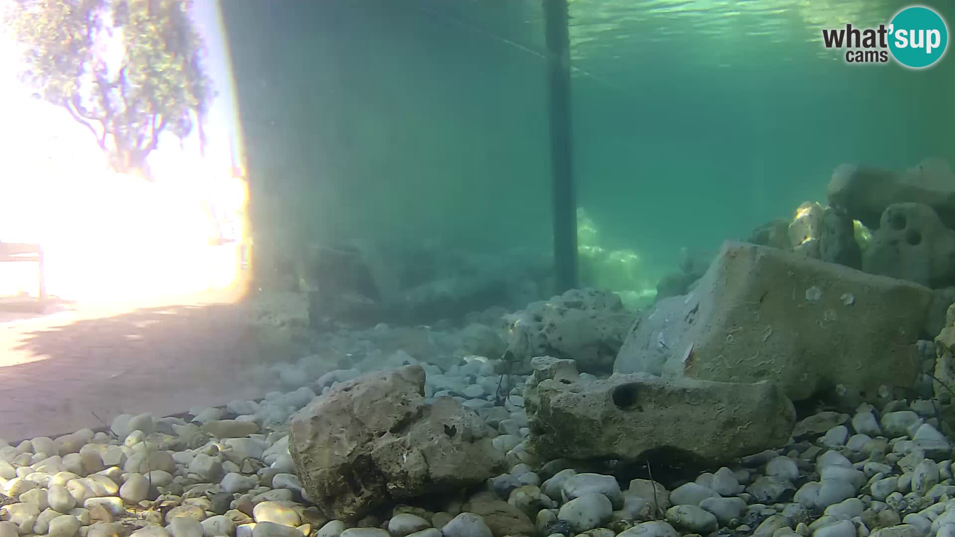 Zunanji morski akvarij Rogoznica spletna kamera Hrvaška