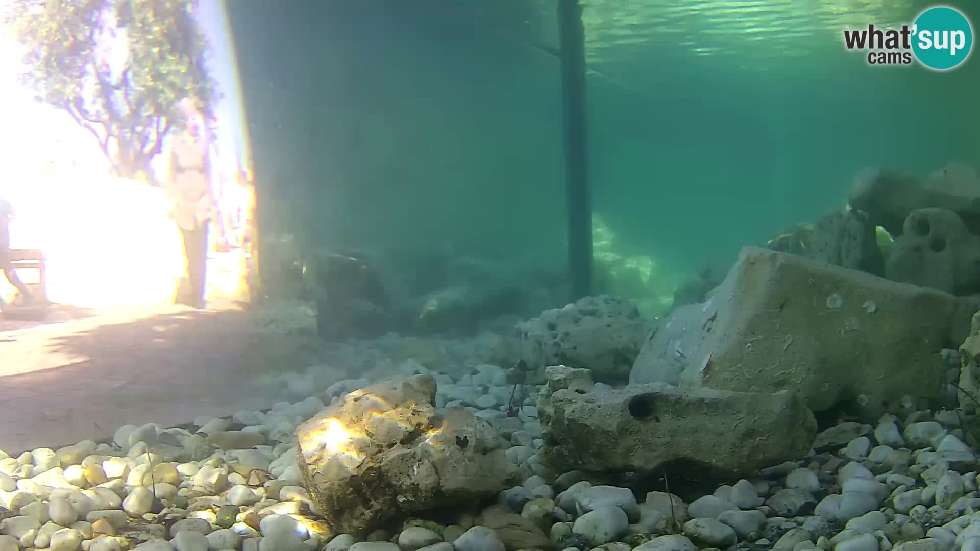 Outdoor Marine Aquarium Rogoznica webcam Croatia