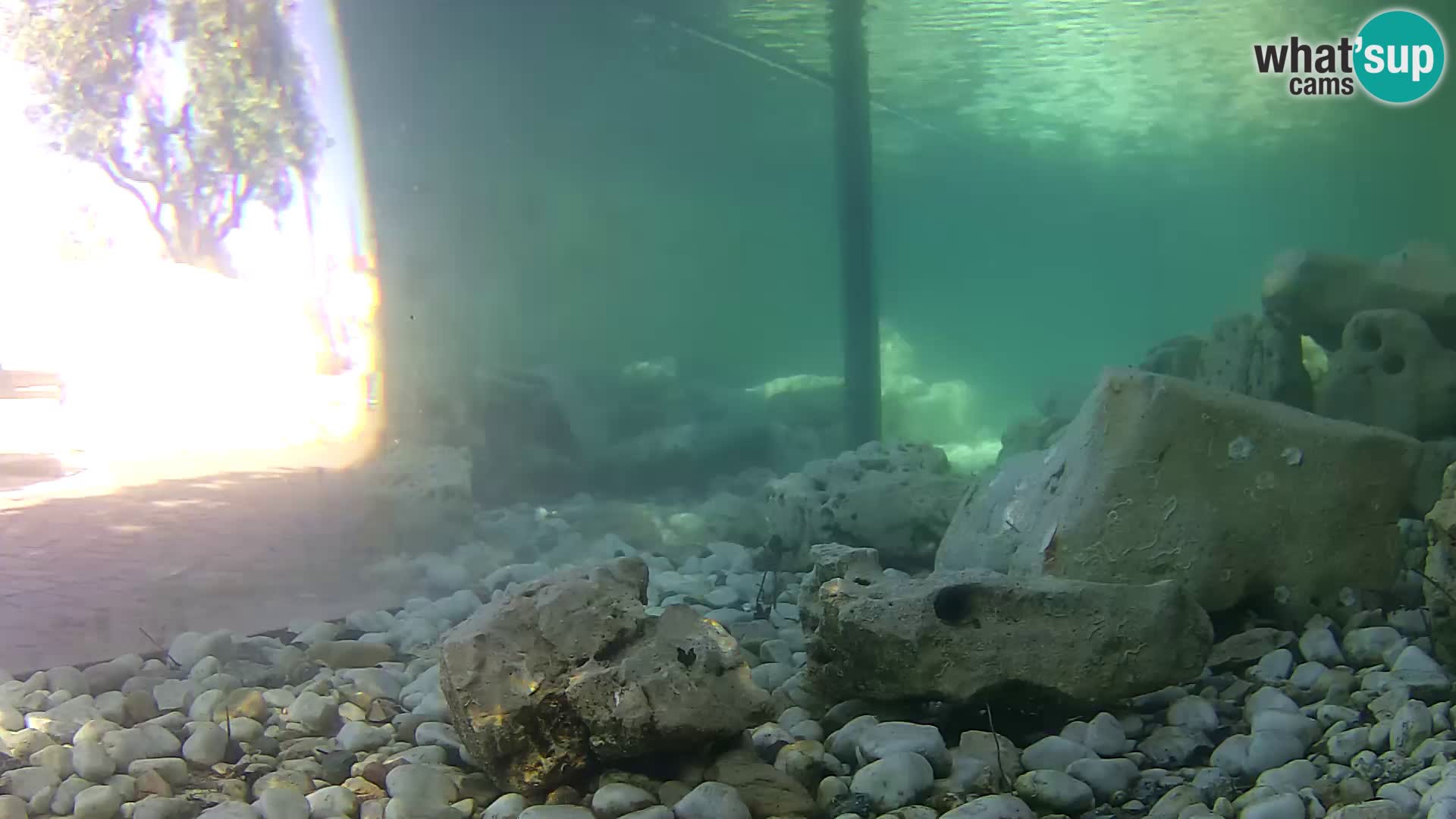 Aquario marino esterno –  Rogoznica livecam Croazia