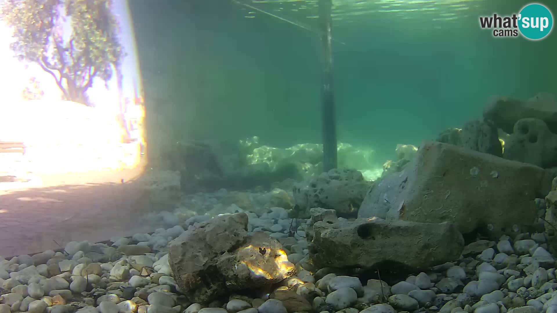 Aquario marino esterno –  Rogoznica livecam Croazia