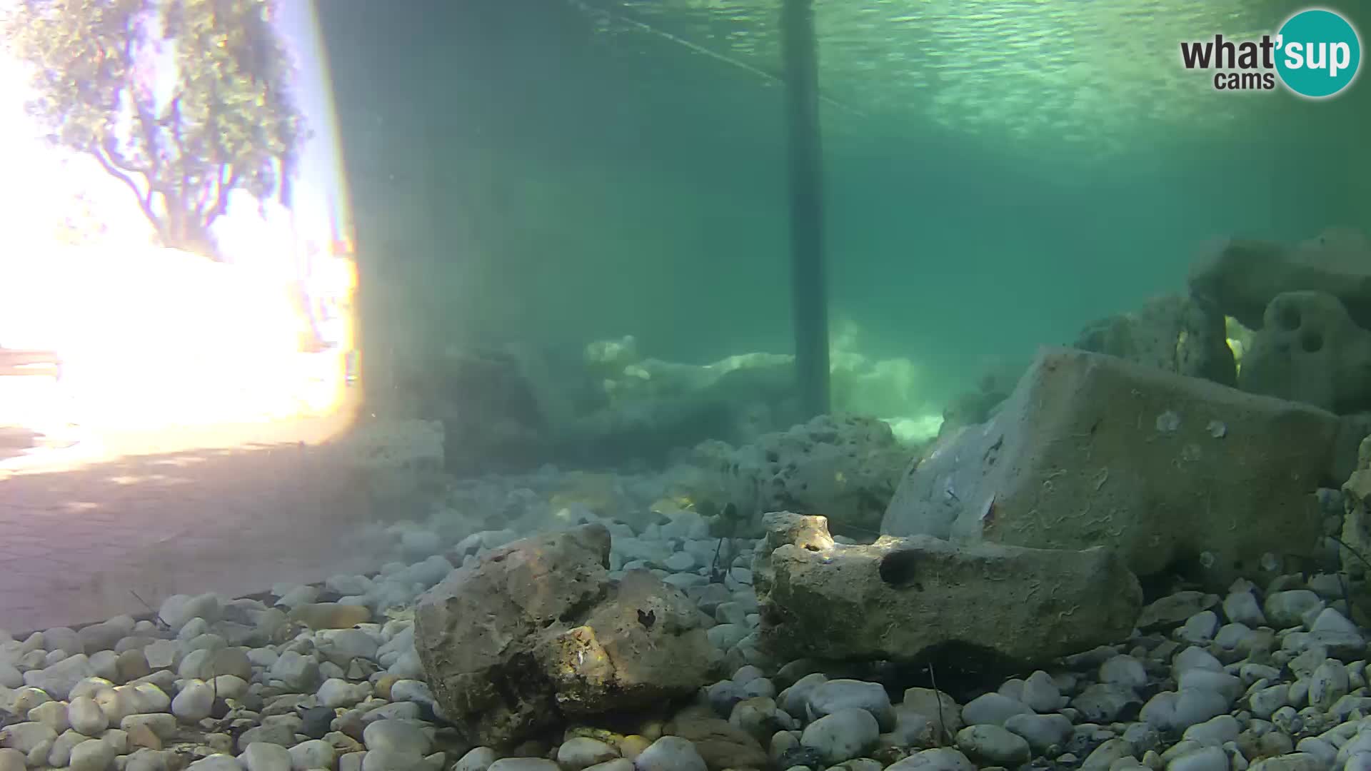 Marine Aquarium im Freien Rogoznica webcam Kroatien